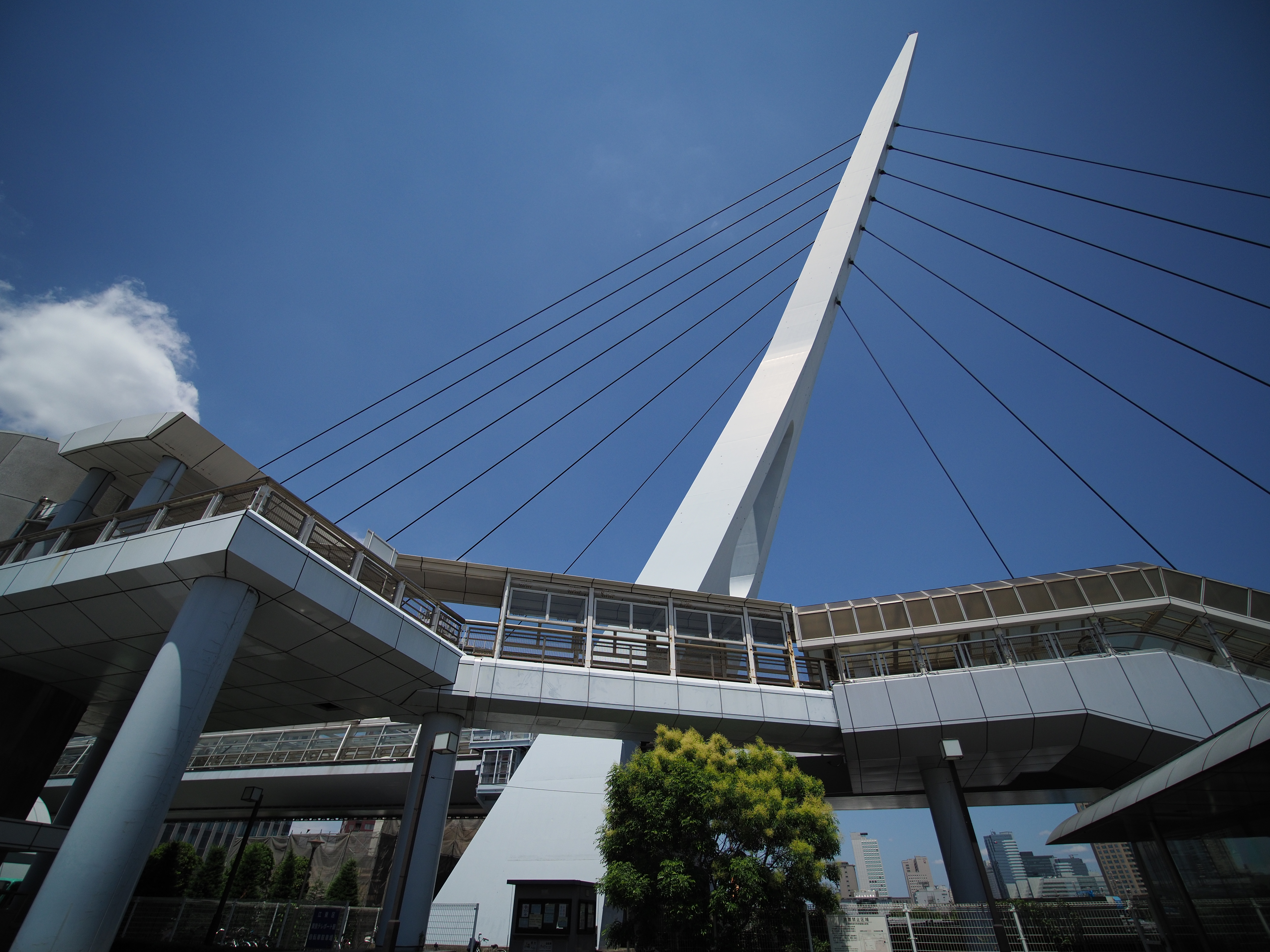 E-M1 Mark II / 1/6,400秒 / F2.8 / -0.3EV / ISO200 / 絞り優先AE / 7.5mm