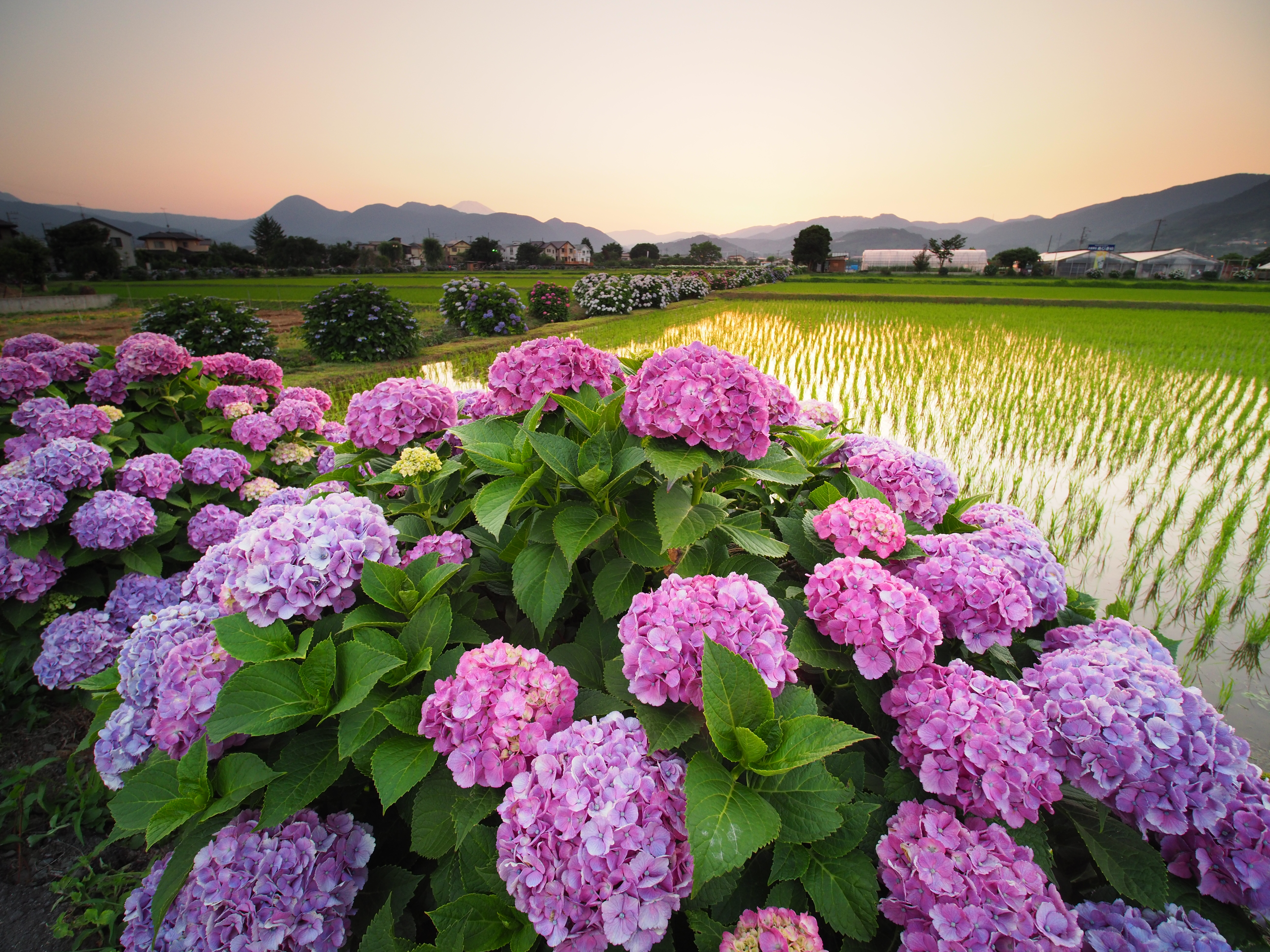 E-M1 Mark II / 1/8秒 / F8 / +0.3EV / ISO400 / 絞り優先AE / 7.5mm / NiSi Hard nano Grad ND 0.6