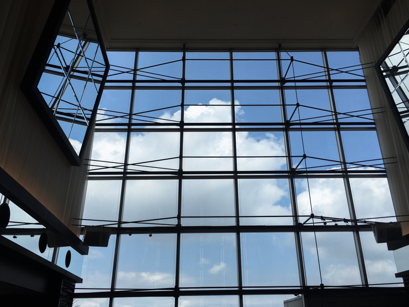 iPhone 6s Plus / 1/1,800秒 / F2.2 / ISO25