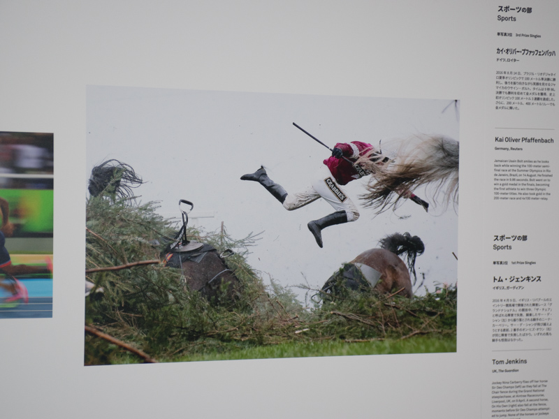 イギリスの競馬場で発生した落馬事故の様子（撮影：Tom Jenkins氏）