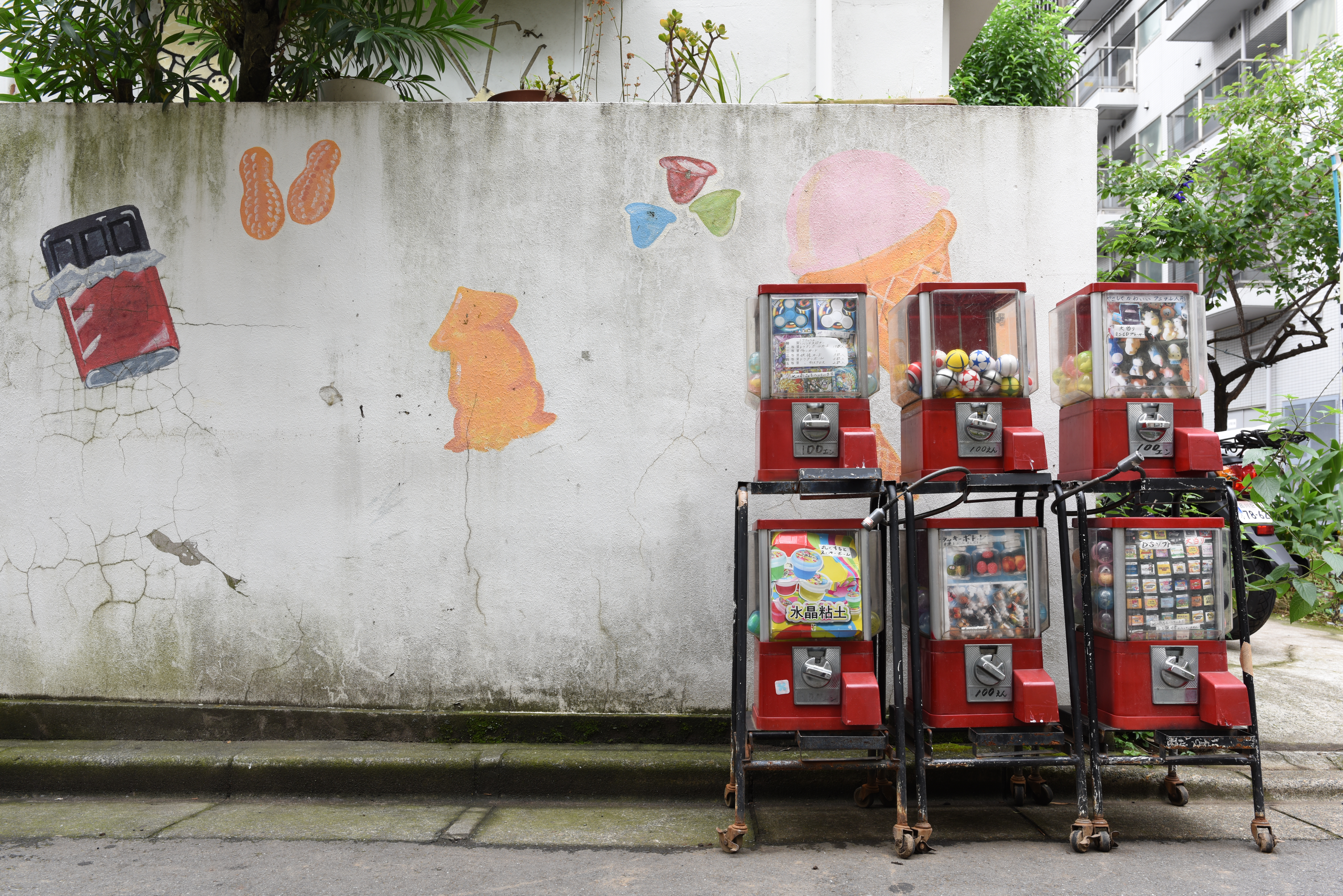 D810 / 1/25秒 / F8 / 0EV / ISO100 / マニュアル露出 / 28mm