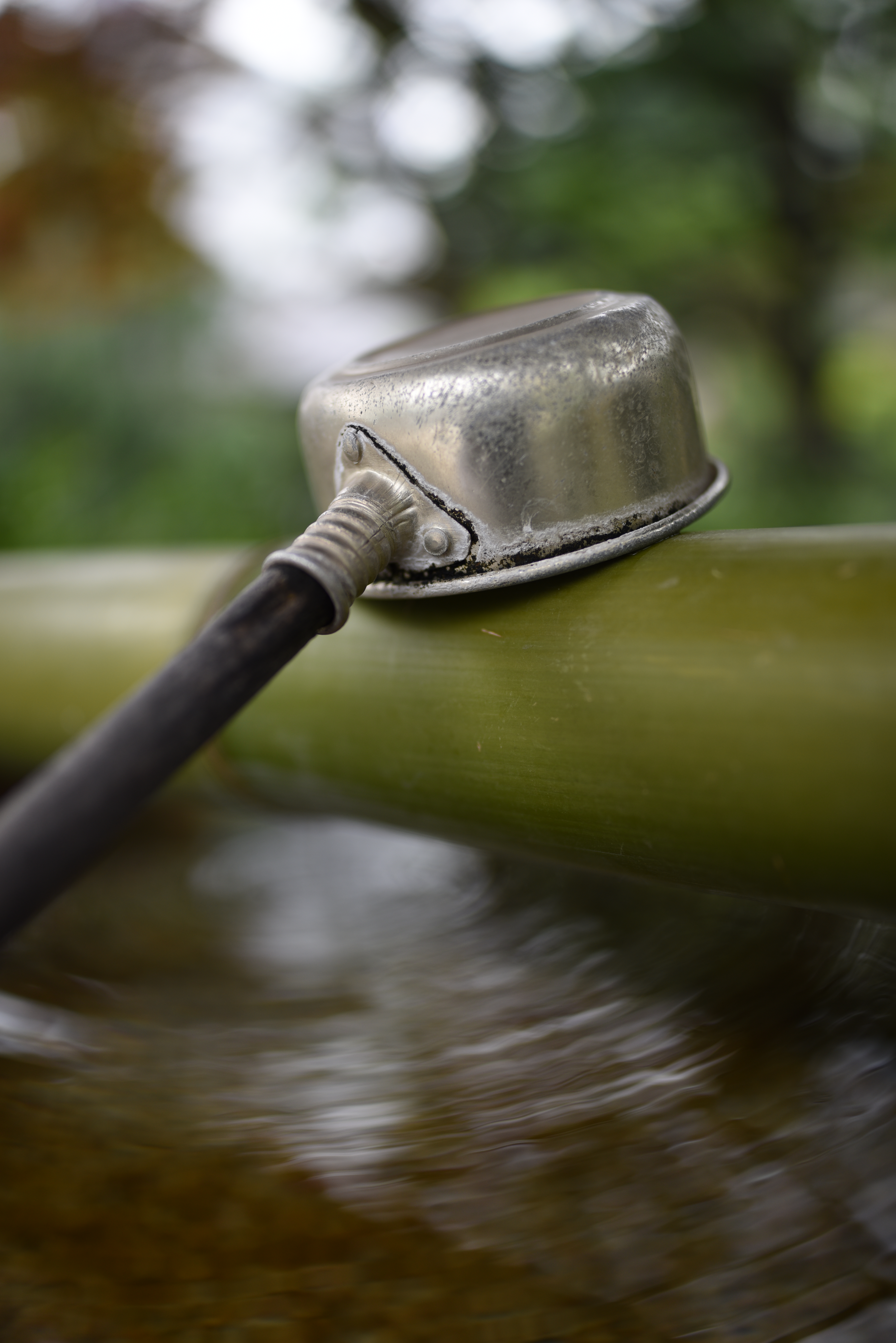 D810 / 1/1,250秒 / F1.4 / 0EV / ISO100 / マニュアル露出 / 28mm