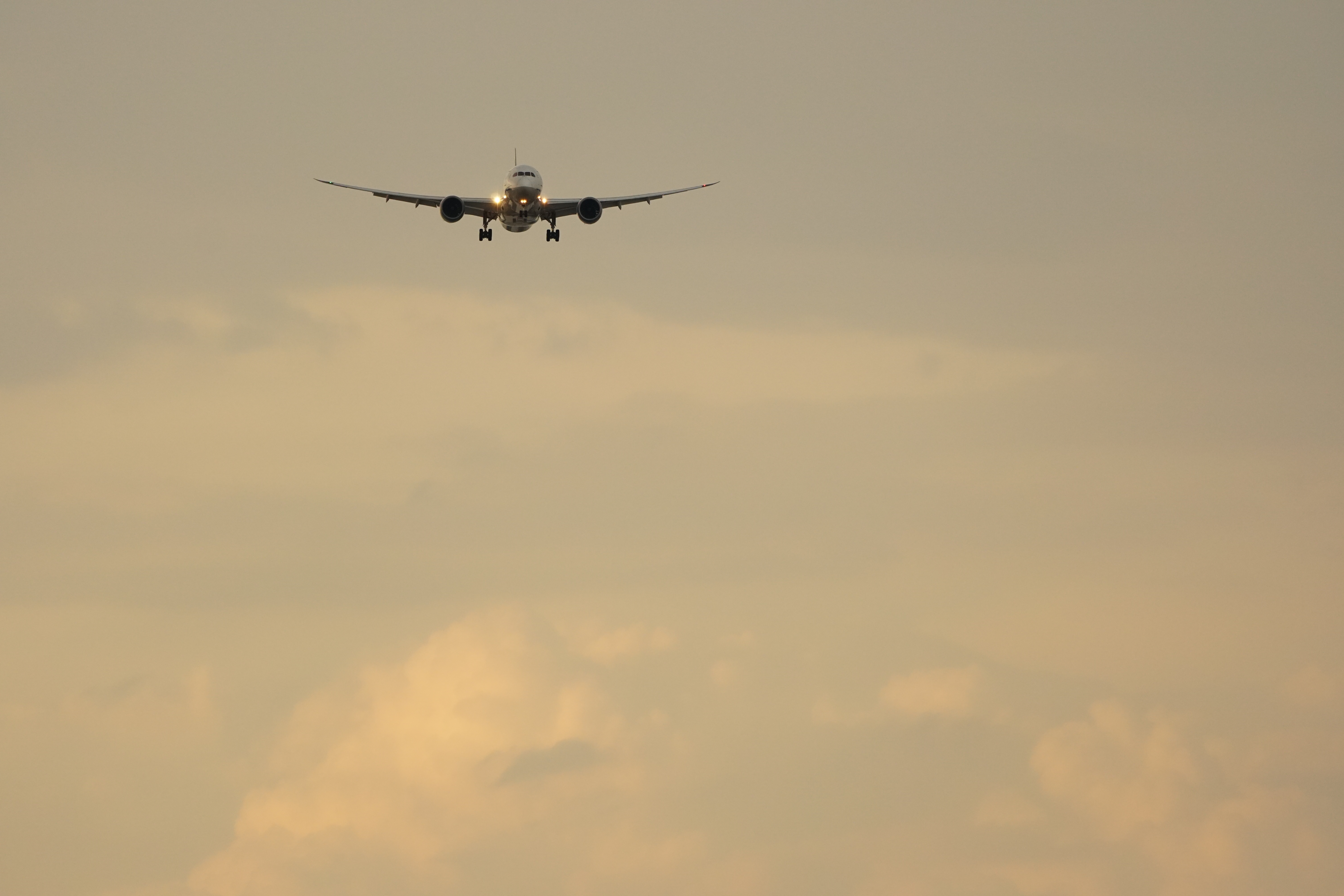 α6500 / 1/640秒 / F5.6 / +0.7EV / ISO1000 / シャッター優先AE / 268mm