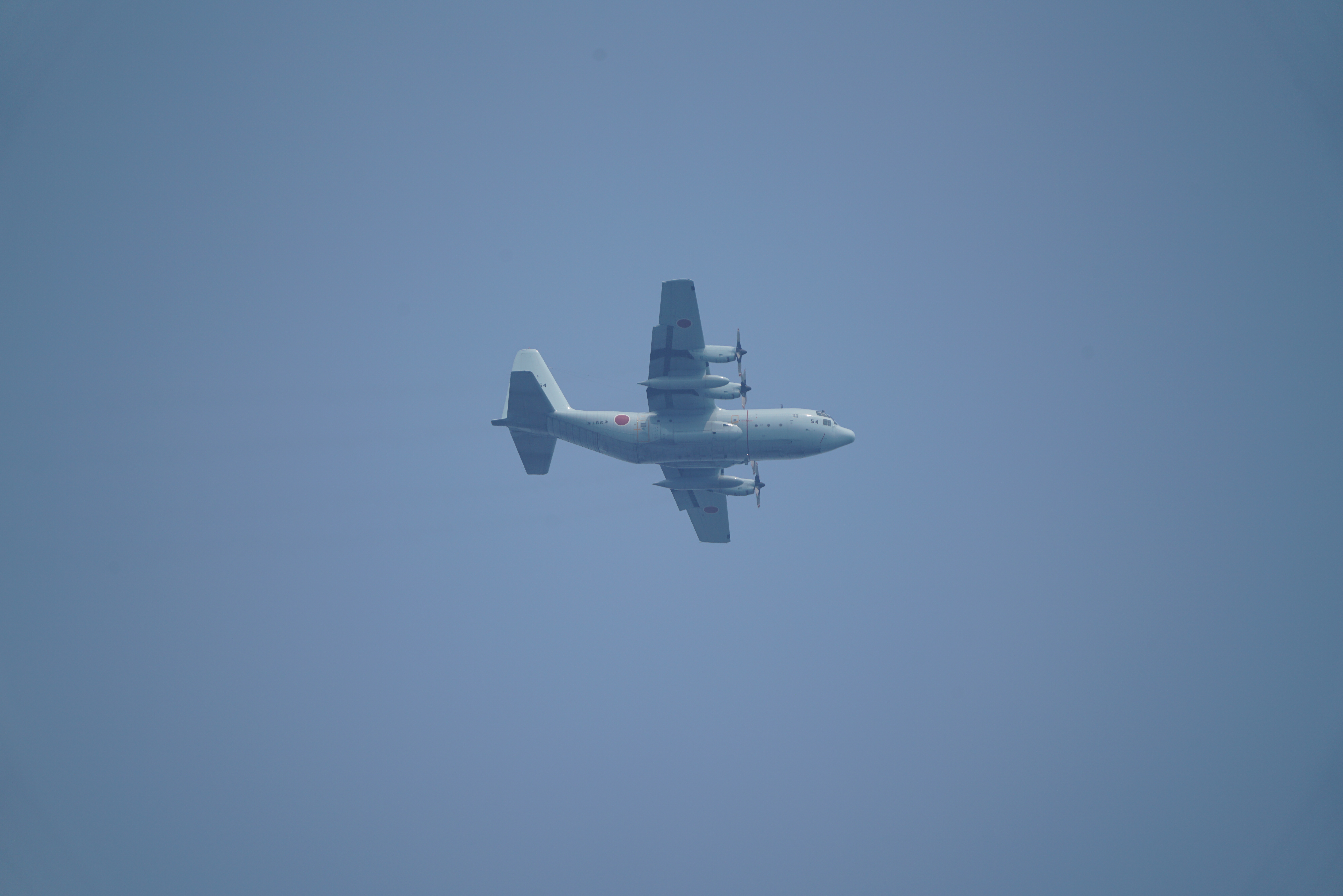 α7R II / 1/1,000秒 / F8 / 0EV / ISO160 / シャッター優先AE / 560mm