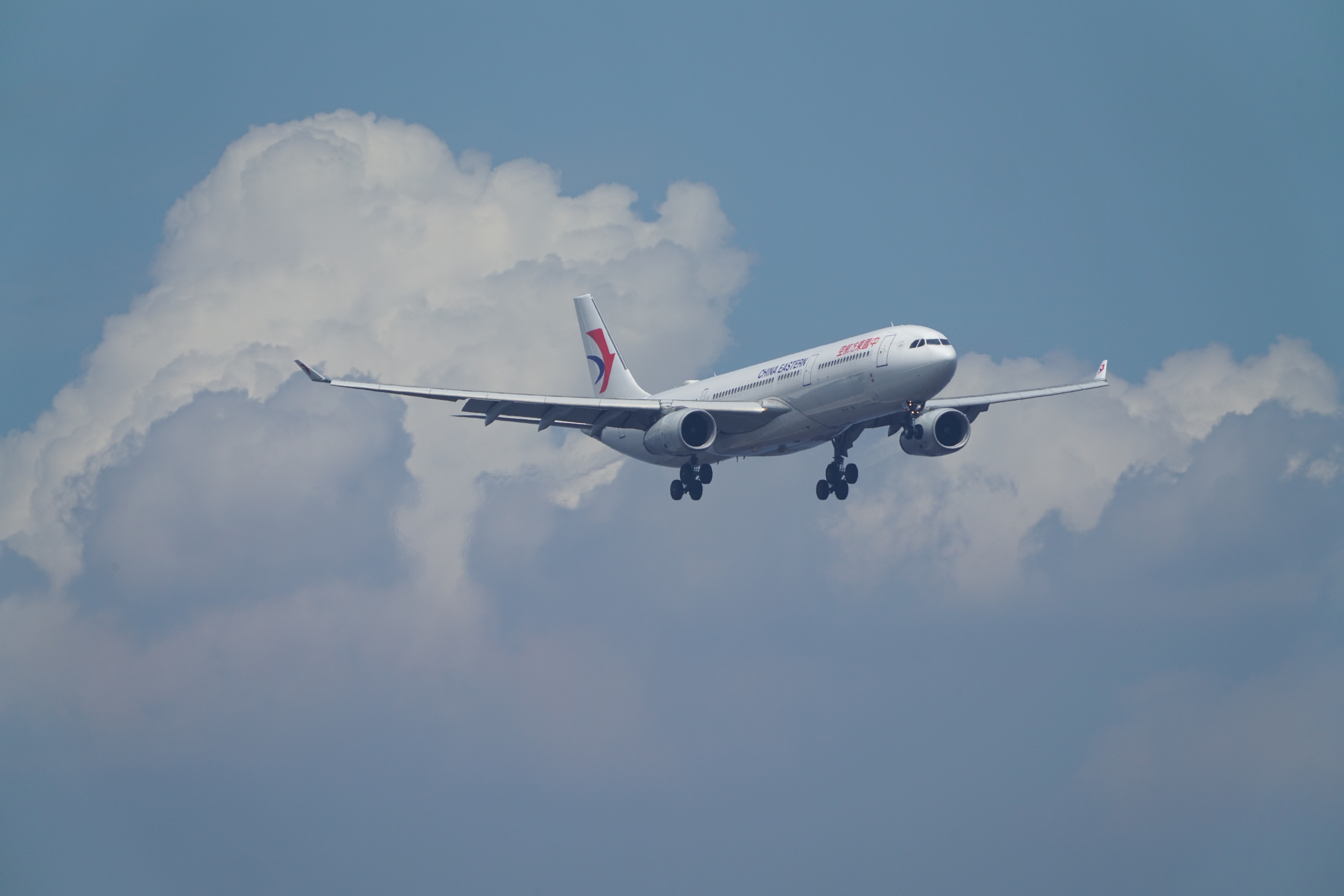 α7R II / 1/1,600秒 / F11 / 0EV / ISO640 / シャッター優先AE / 800mm