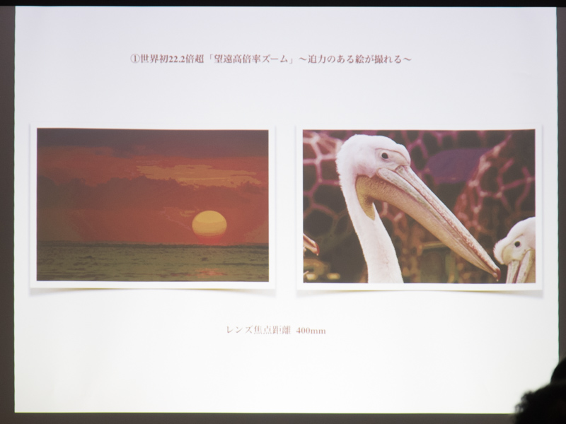 望遠端の作例。