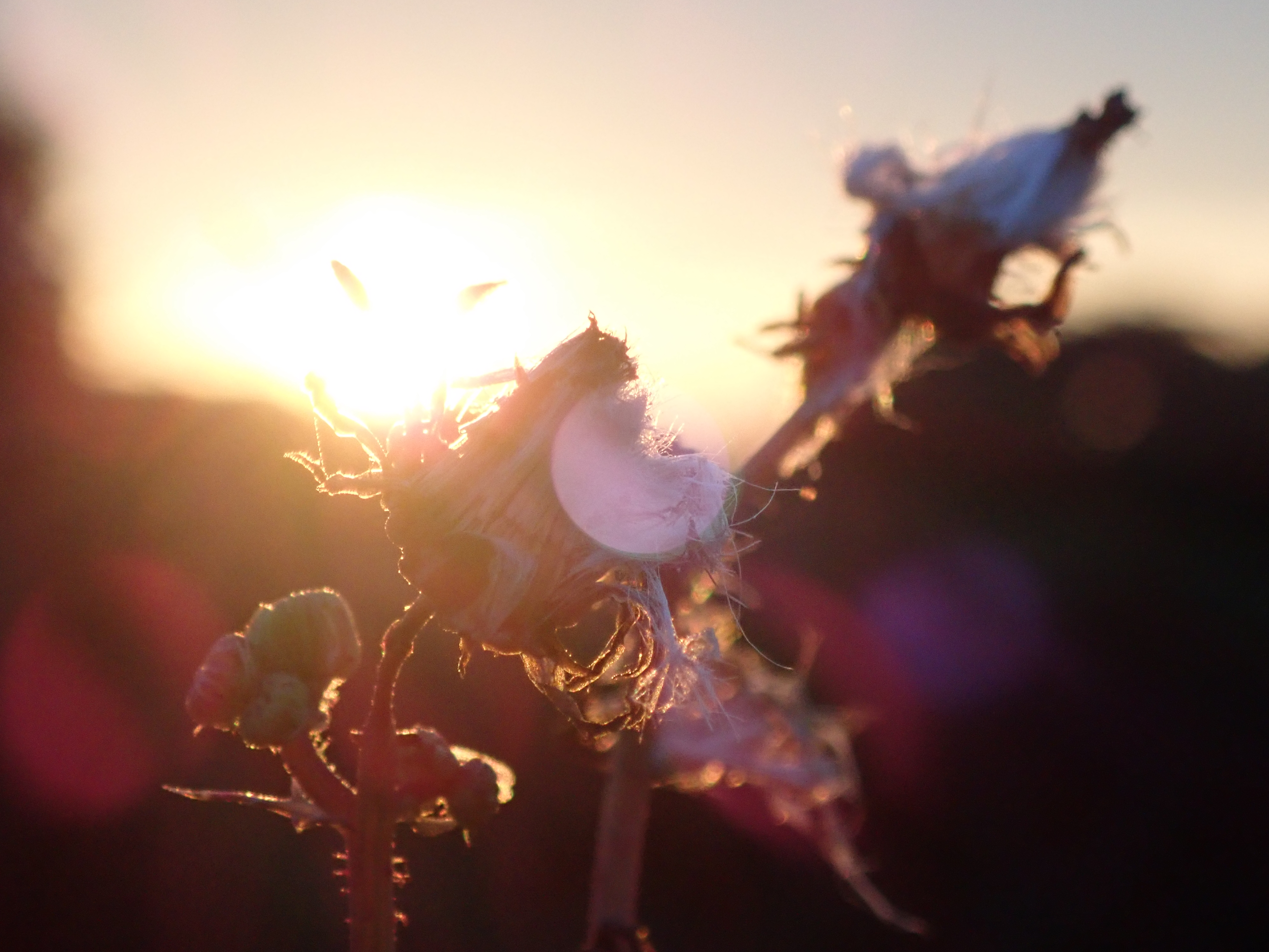 1/400秒 / F4.9 / +0.3EV / ISO800 / 18mm