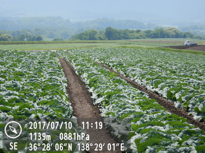 再生時の情報合成表示