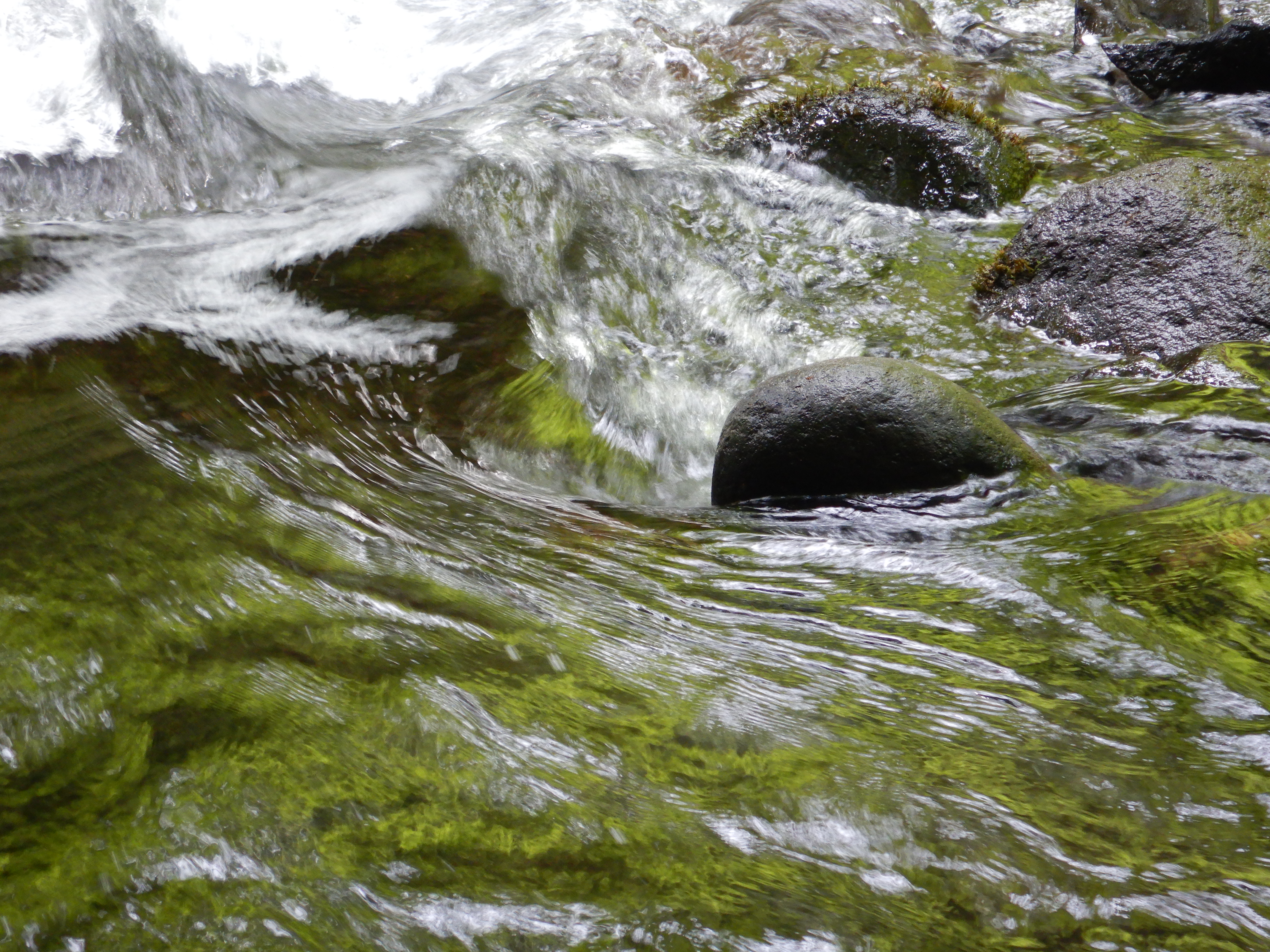 1/30秒 / F4.9 / 0EV / ISO360 / プログラムAE / 21.5mm