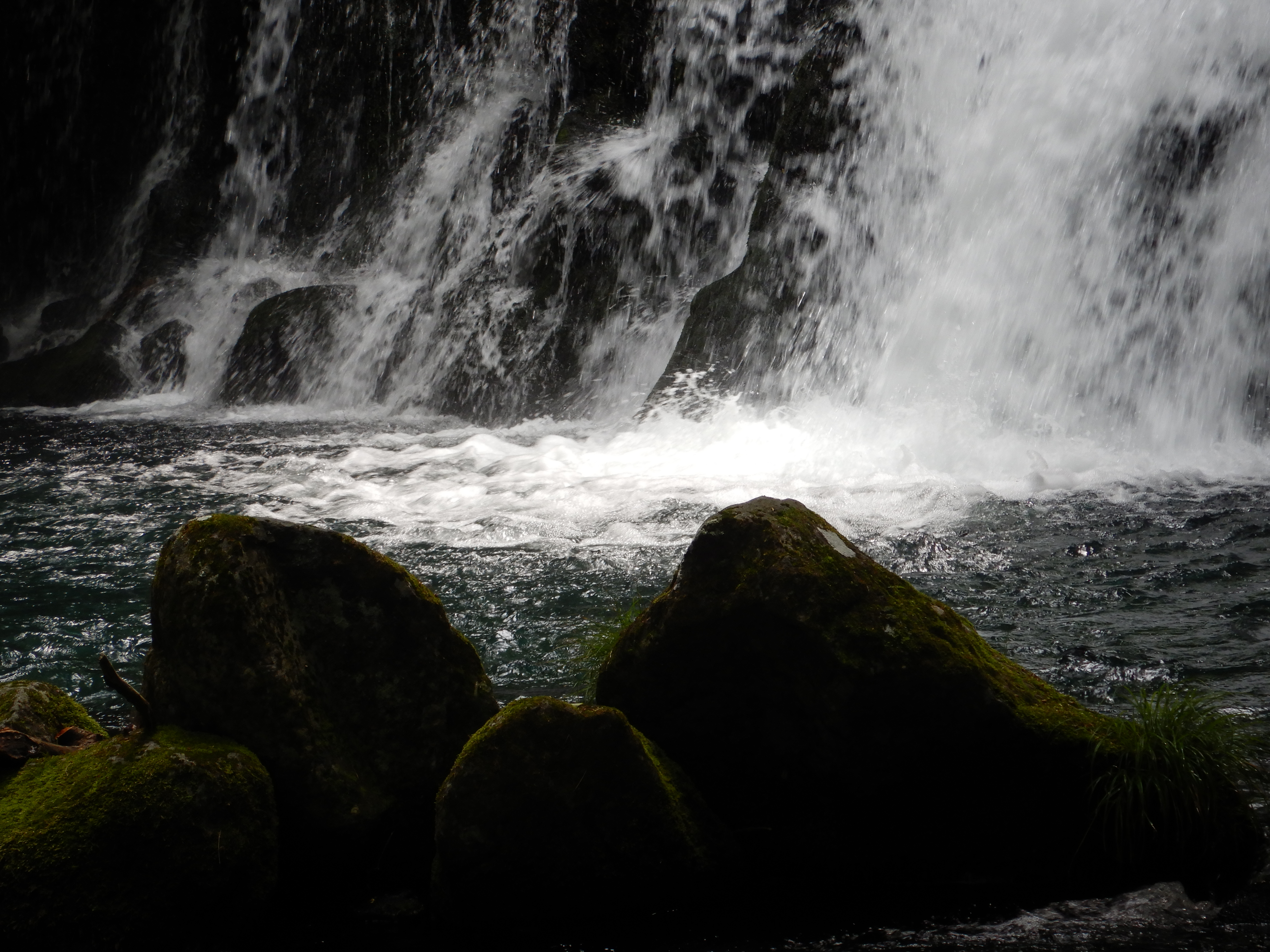 1/100秒 / F4.9 / 0EV / ISO125 / プログラムAE / 21.5mm