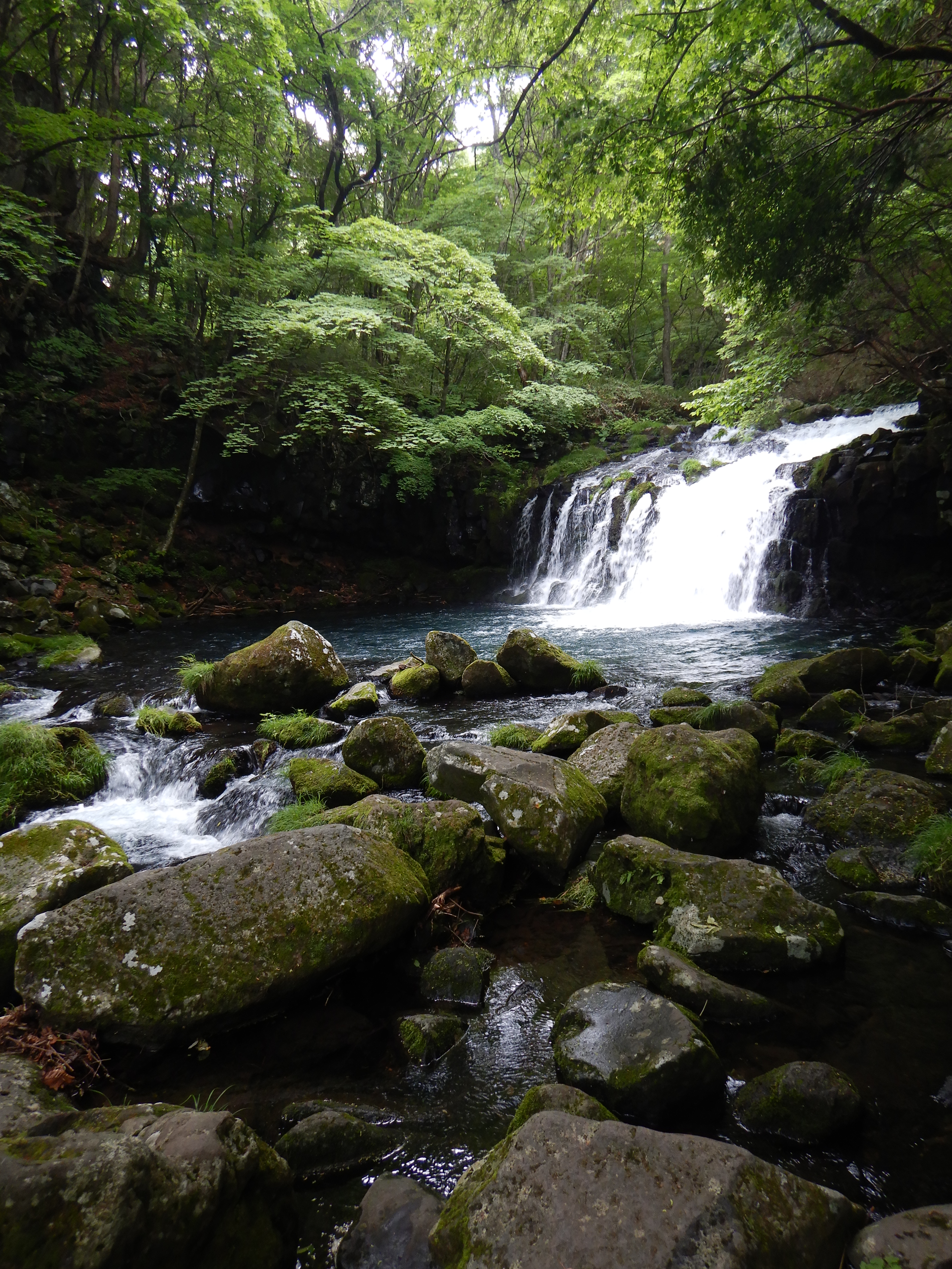 1/50秒 / F2.8 / 0EV / ISO125 / プログラムAE / 4.3mm