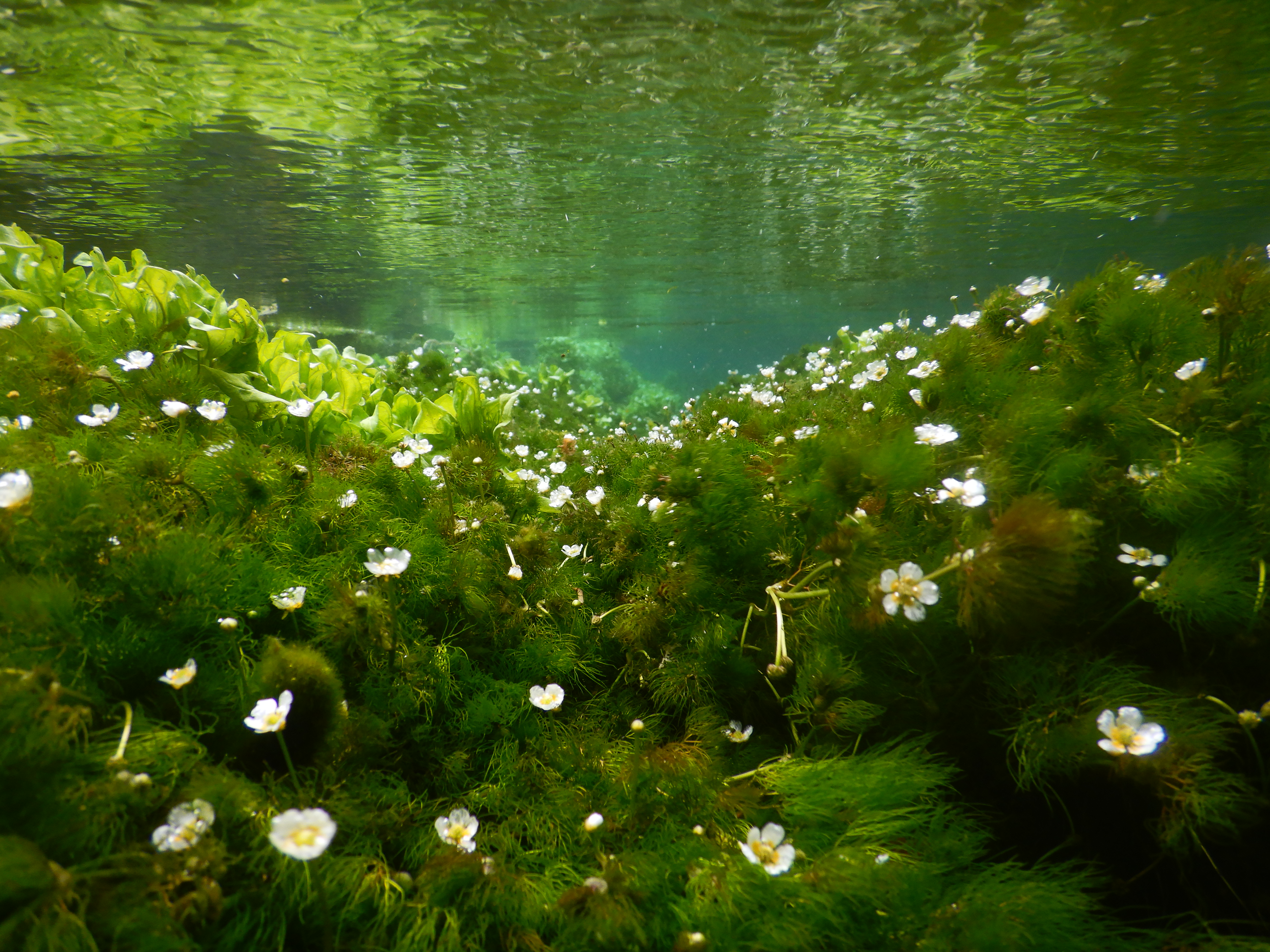 1/100秒 / F2.8 / 0EV / ISO125 / プログラムAE / 4.3mm