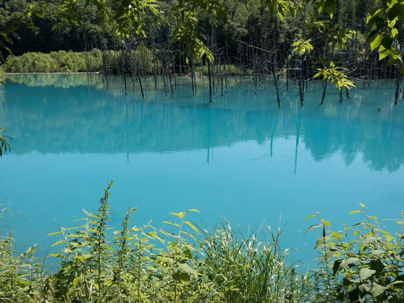 青い池