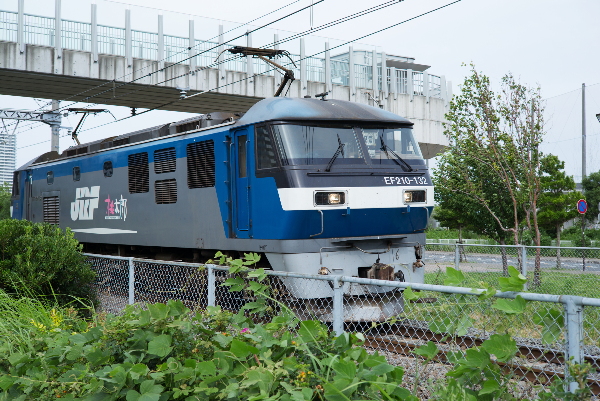 最短撮影距離が80cmまでで繰り出し量が少ないこともあり、フォーカシングトルクは軽くピント合わせは軽快に行えた。LEICA M（Typ240）/ ISO200 / F5.6 / 1/500秒 / WB:オート