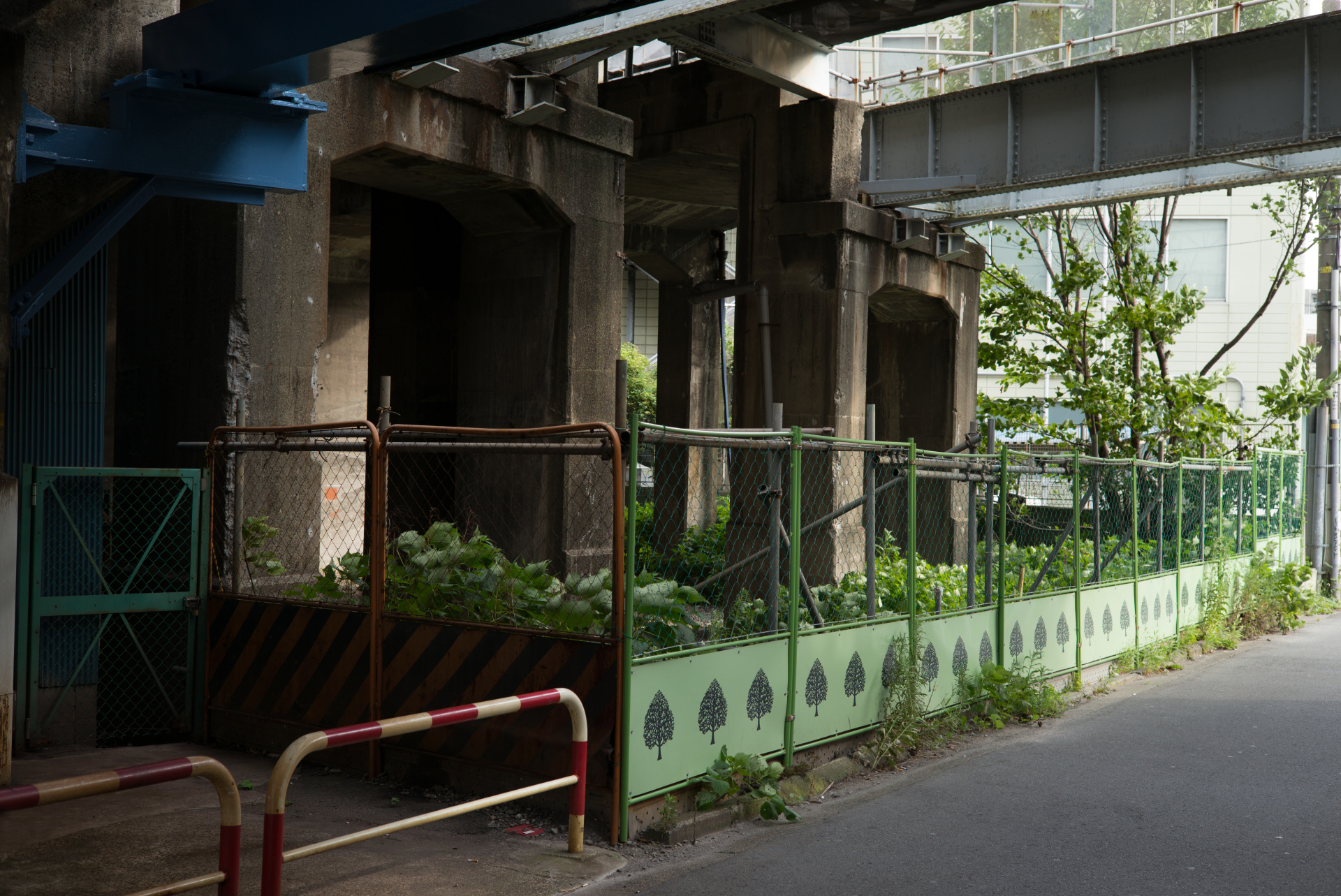 どんな被写体、シチュエーションでも期待以上の描写を見せてくれる。LEICA M（Typ240）/ ISO200 / F8 / 1/90秒 / WB:オート