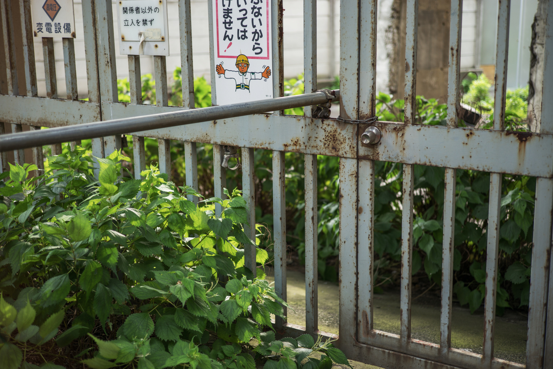 フラットな光でも完璧な描写を見せてくれるが、ちょっと陰影のあるシーンではさらに本領発揮されると思う。LEICA M（Typ240）/ ISO200 / F2.4 / 1/180秒 / WB:オート