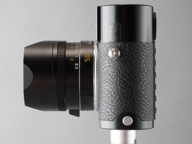 フードは花型とは逆に先端が絞り込まれた形状でカッコいい。