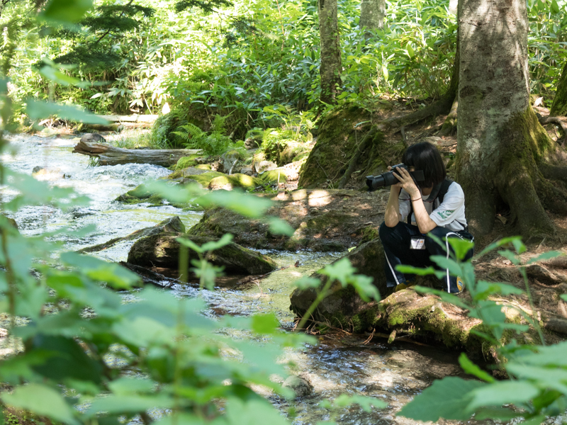 自然が豊富な場所だった