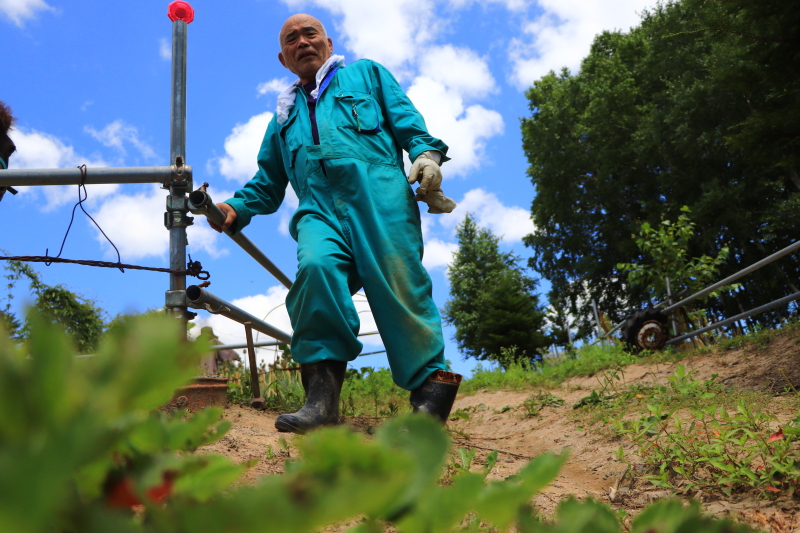 EOS 9000D / EF-S18-135mm F3.5-5.6 IS USM / 1/3,200秒 / F3.5 / 0EV / ISO200 / 絞り優先AE / 18mm