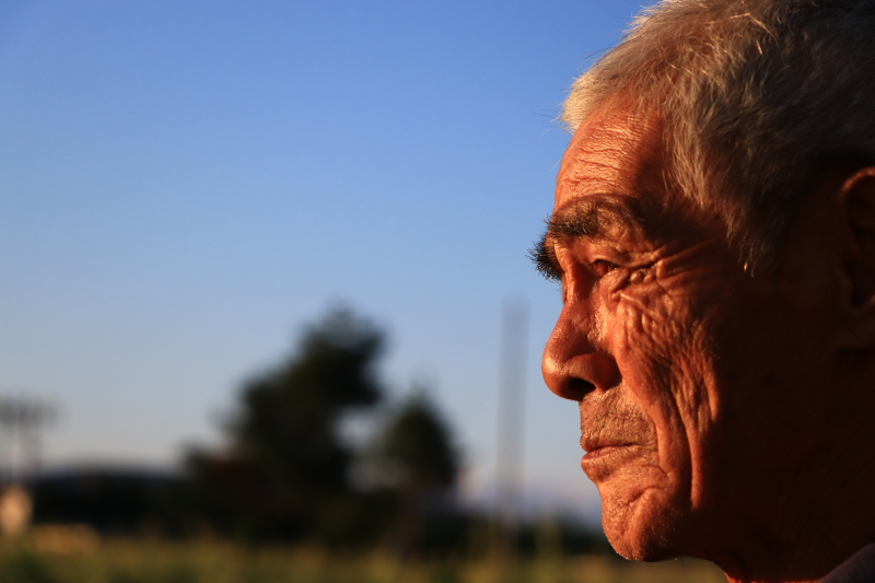 EOS 9000D / EF-S18-135mm F3.5-5.6 IS USM / 1/2,500秒 / F5.6 / -0.3EV / ISO400 / 絞り優先AE / 78mm