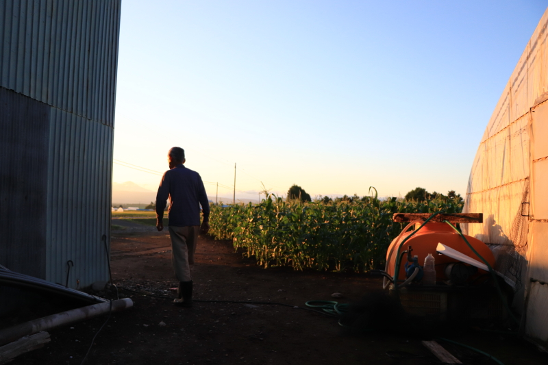 EOS 9000D / EF-S18-135mm F3.5-5.6 IS USM / 1/1,000秒 / F3.5 / 0EV / ISO400 / 絞り優先AE / 18mm