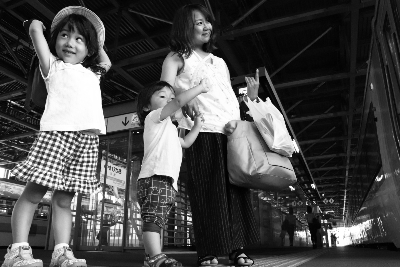 EOS 9000D / EF-S18-135mm F3.5-5.6 IS USM / 1/320秒 / F9 / +0.3EV / ISO6400 / 絞り優先AE / 18mm