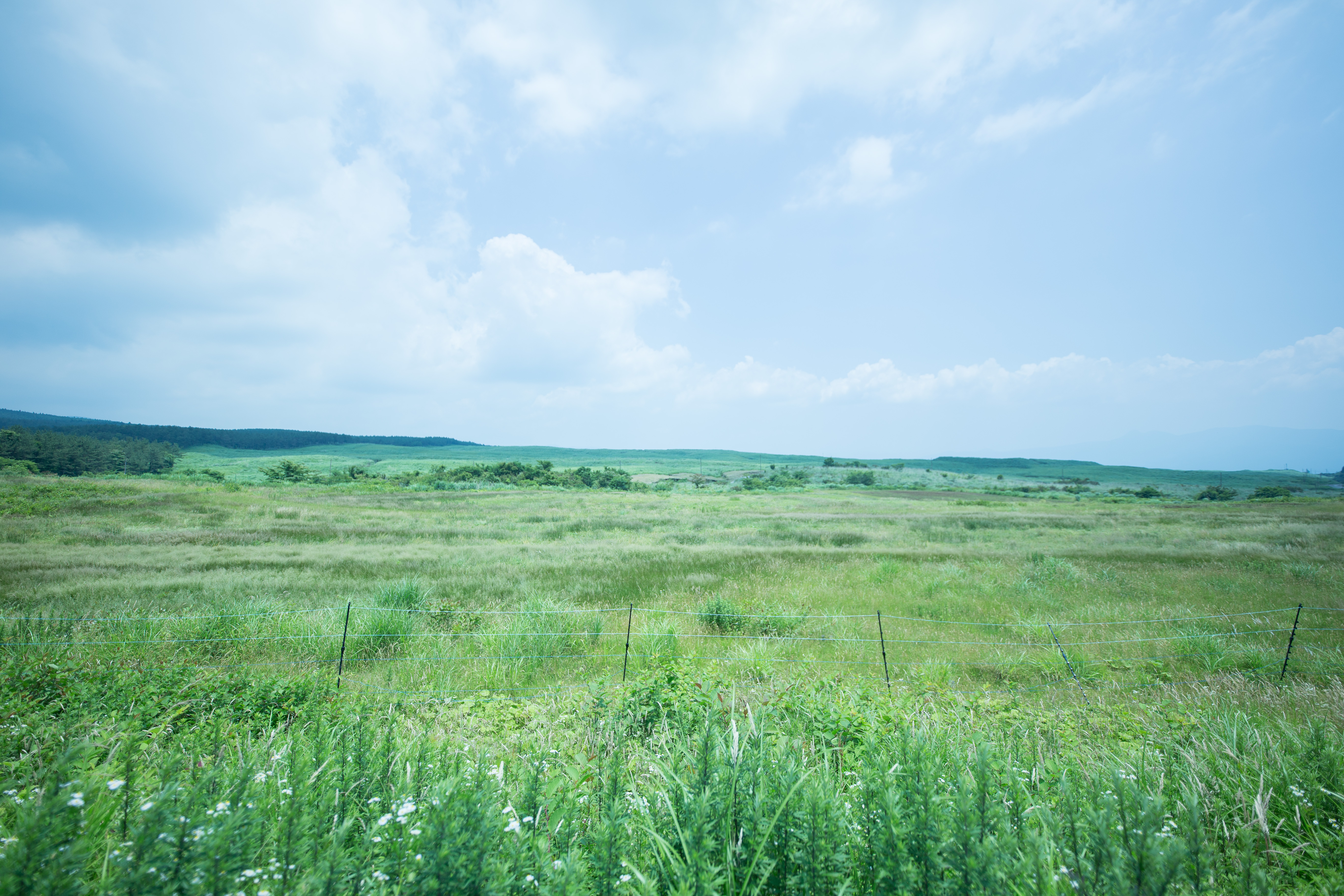 EOS 6D / 1/4000秒 / F1.8 / +0.7EV / ISO200 / WB：3,600K G+5 / 絞り優先AE / 14mm