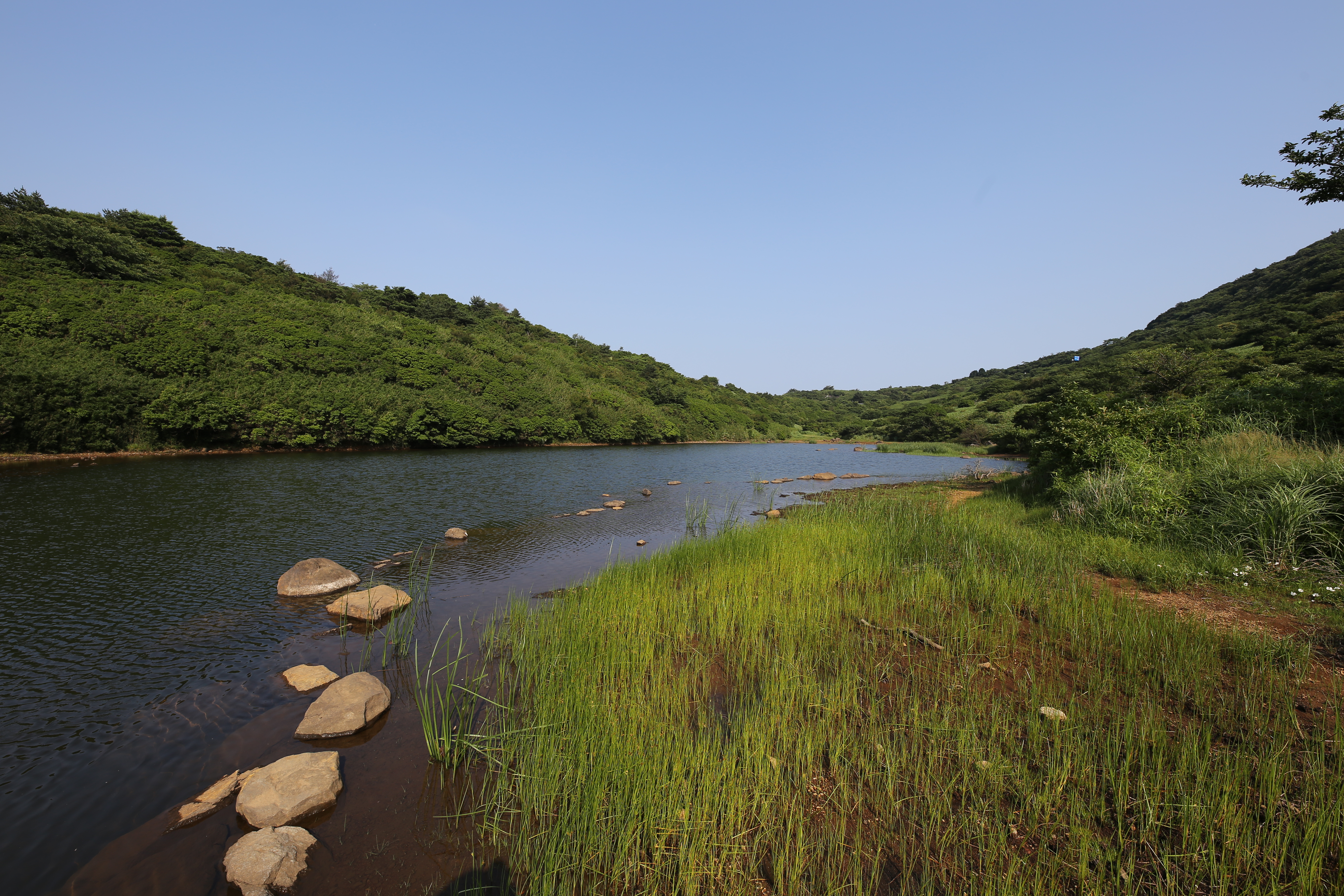 EOS 6D / 1/250秒 / F8 / -0.3EV / ISO100 / WB：オート / 絞り優先AE / 14mm