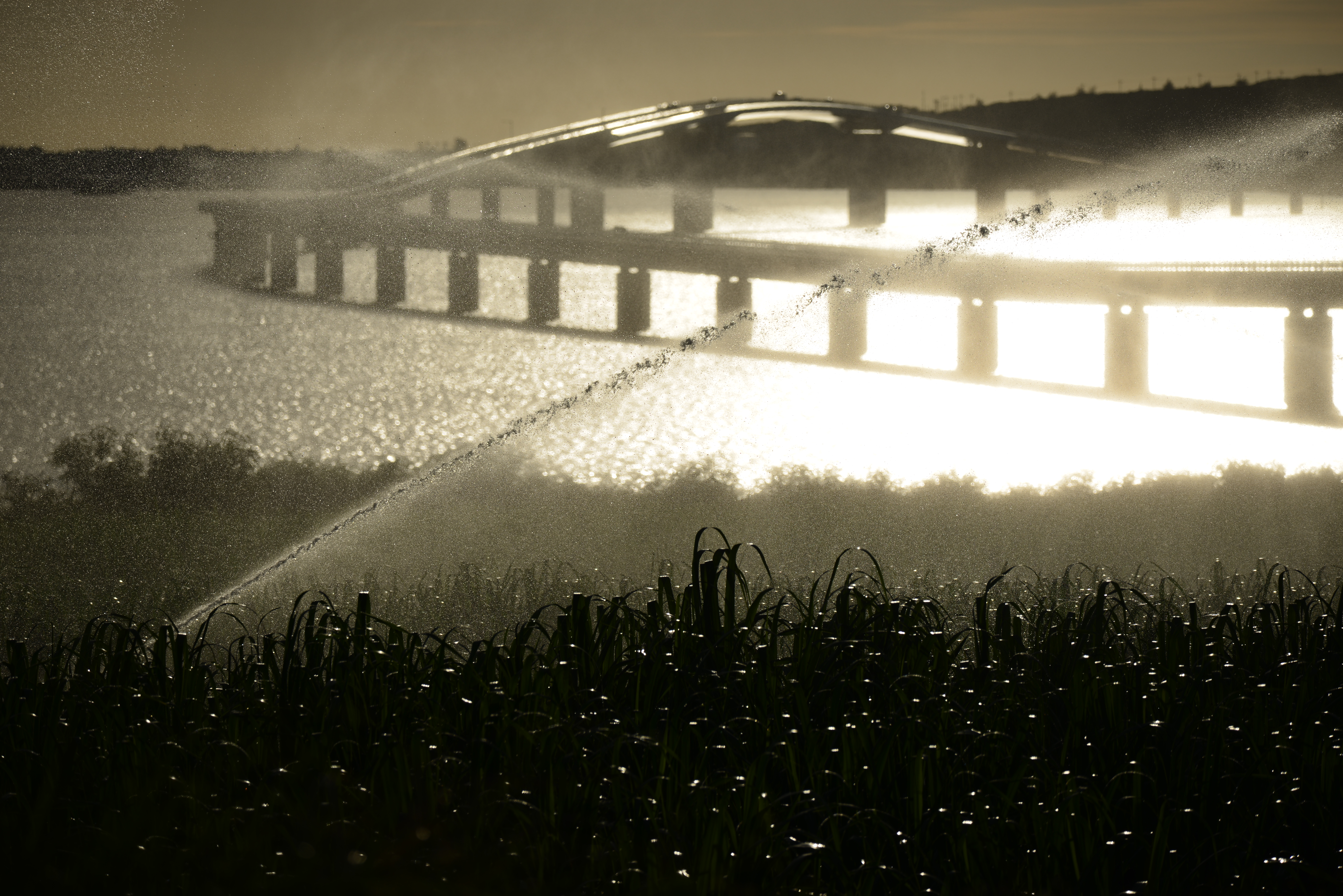 D800E / 1/2,500秒 / F8 / -1.7EV / ISO100 / 絞り優先AE / 270mm / ヴィネットコントロール：しない