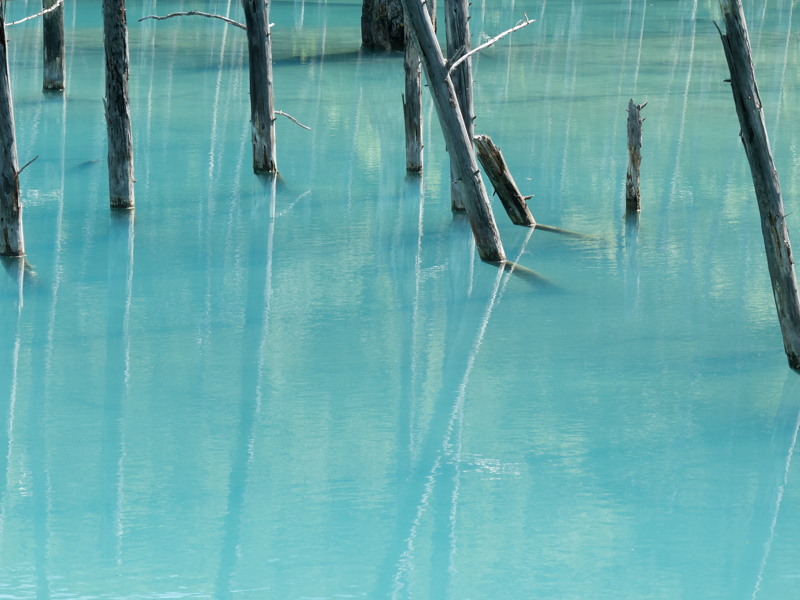 EOS M5 + EF-M18-150mm F3.5-6.3 IS STM