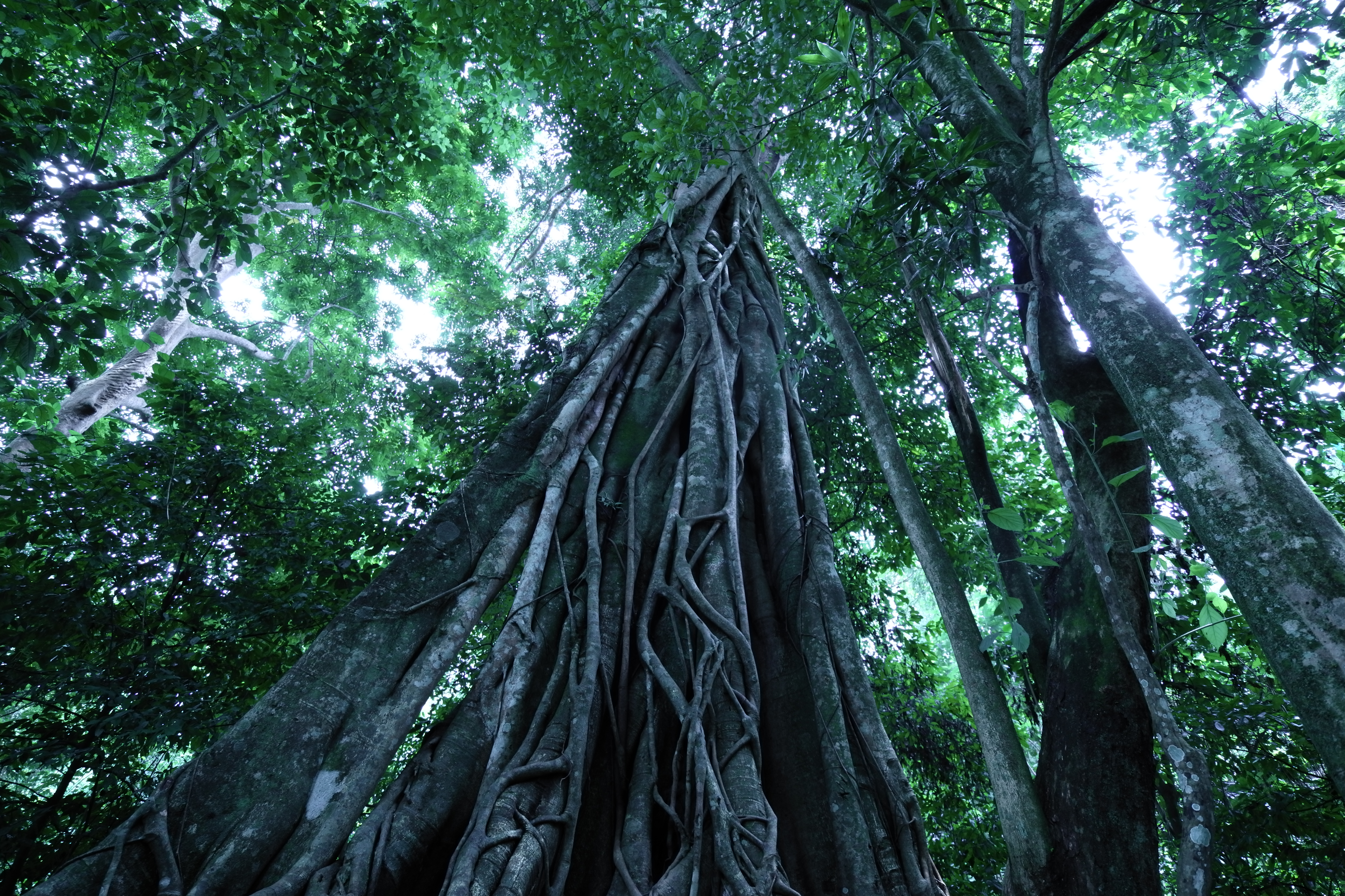 LEICA TL2 / SUPER-VARIO-ELMAR-TL 11-23mm F3.5-4.5 ASPH. / 17mm相当 / F3.5 / 1/100秒 / -1.0EV / ISO400