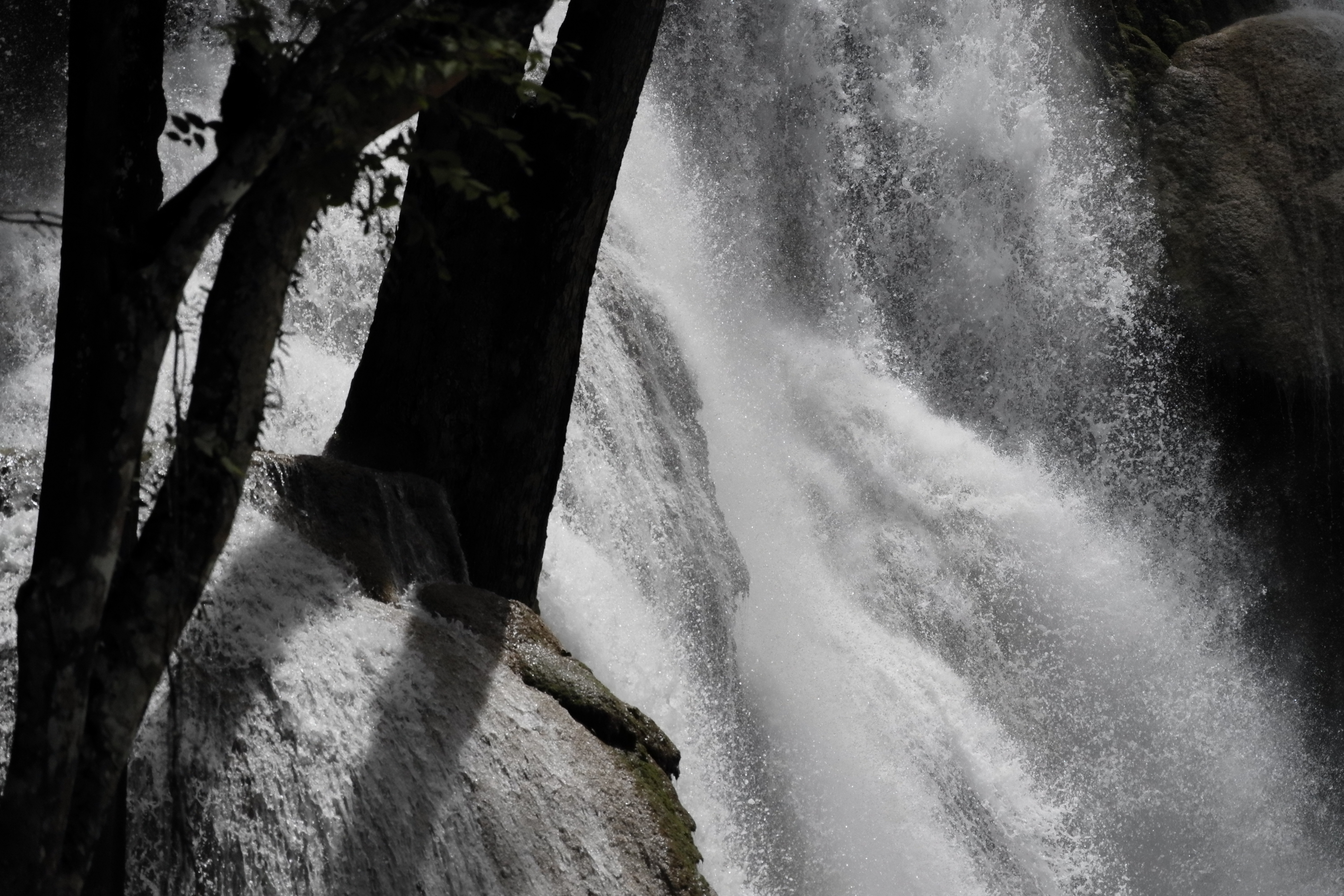 LEICA TL2 / APO-VARIO-ELMAR-TL 55-135mm F3.5-4.5 ASPH. / 157mm相当 / F4.5 / 1/26,000秒（電子シャッター） / -1.3EV / ISO1600