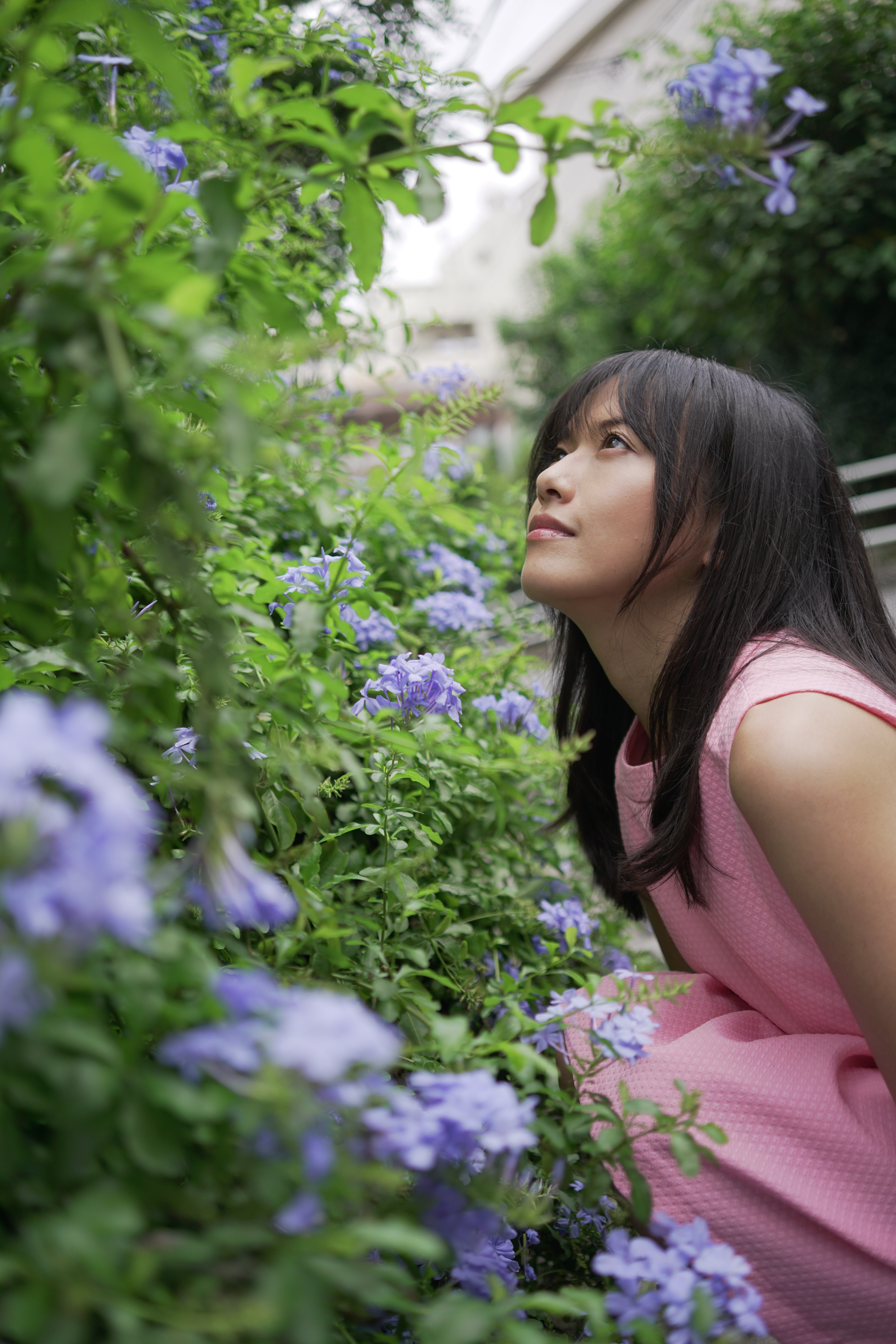 α7R II / AF 35mm F2.8 FE / 1/800秒 / F2.8 / 0EV / ISO200 / マニュアル露出 / 35mm