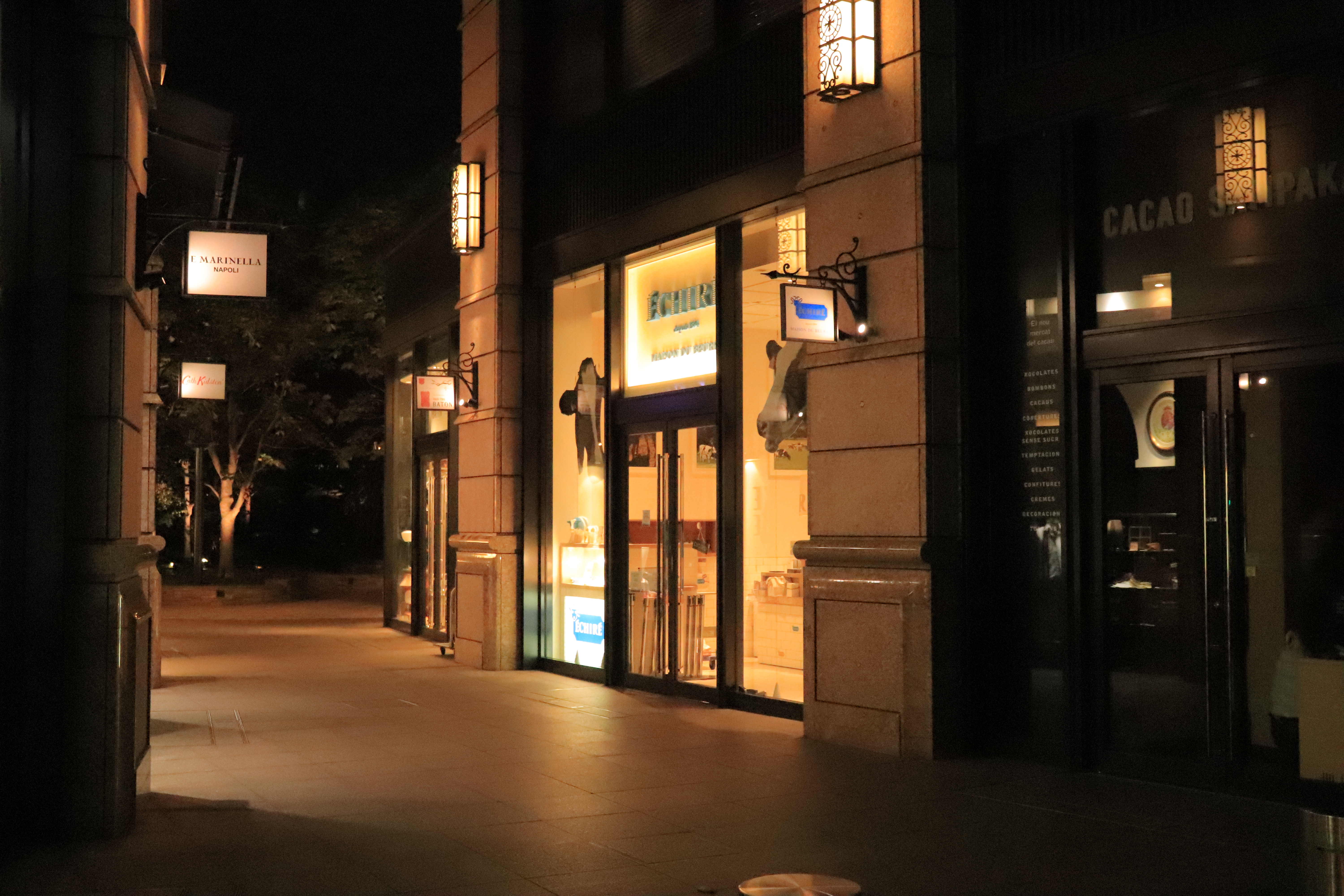 EOS Kiss X9 / EF-S18-55mm F4-5.6 IS STM / 1/200秒 / F4.5 / 0EV / ISO 12800 / 絞り優先AE / 25mm