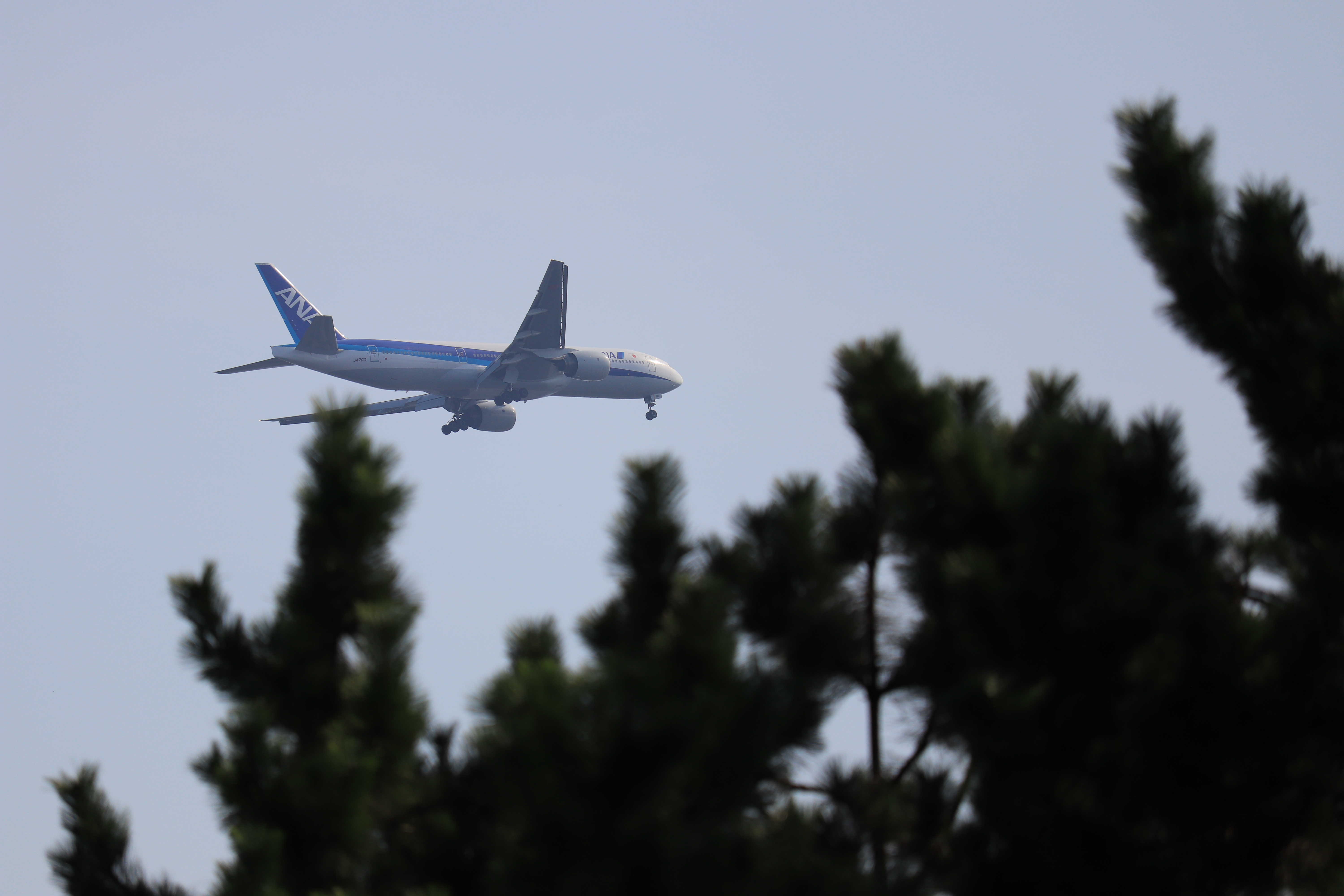 EOS Kiss X9 / EF-S55-250mm F4-5.6 IS STM / 1/1,250秒 / F5.6 / 0EV / ISO 100 / 絞り優先AE / 250mm