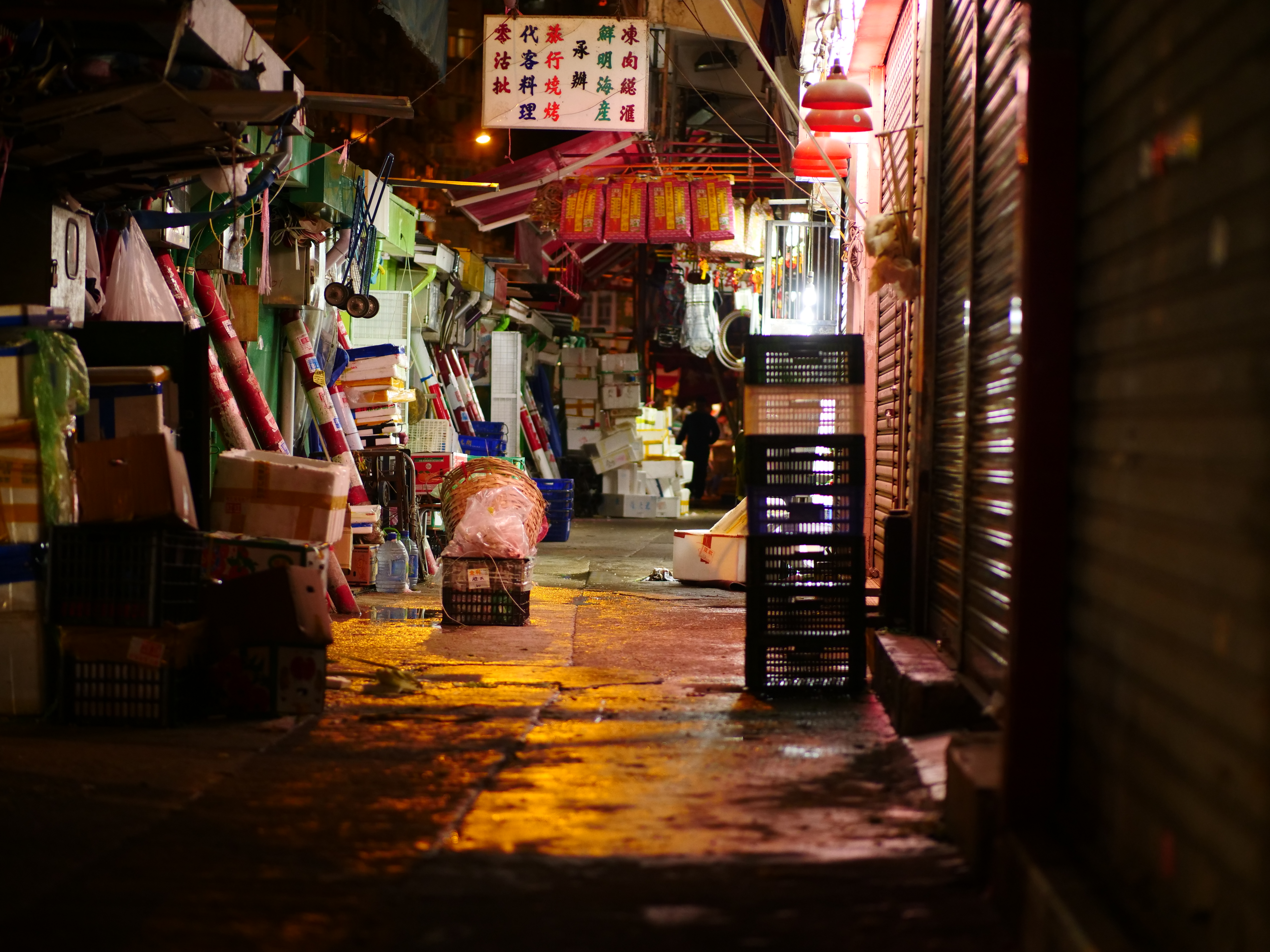 LUMIX GH5 / LEICA DG NOCTICRON 42.5mm/F1.2 ASPH. / POWER O.I.S. / 1/125秒 / F1.2 / -0.3EV / ISO800 / 絞り優先AE / 43mm