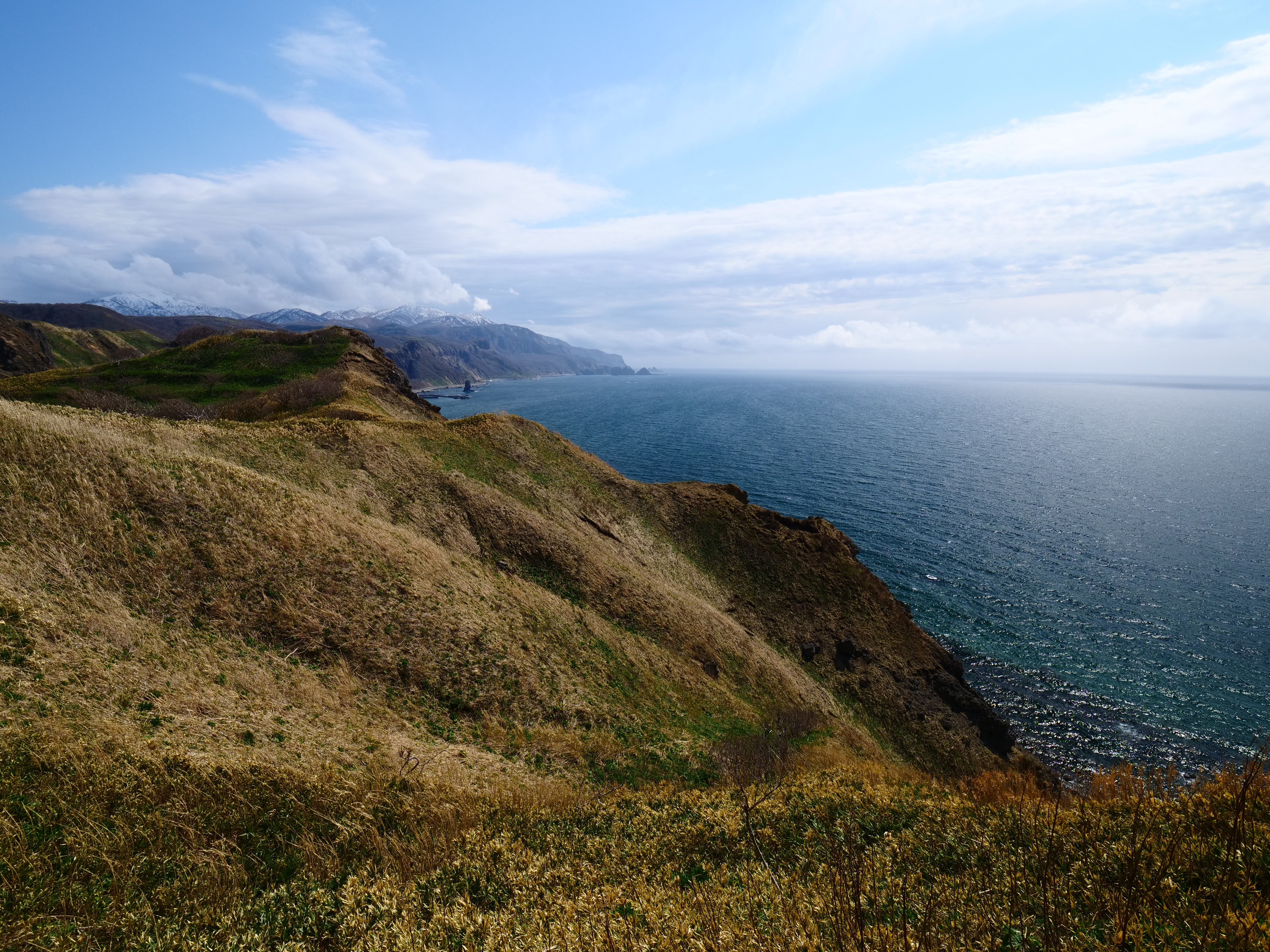 LUMIX GH5 / LEICA DG VARIO-ELMARIT 8-18mm/F2.8-4 ASPH. / 1/400秒 / F5.6 / -0.3EV / ISO200 / 絞り優先AE / 8mm