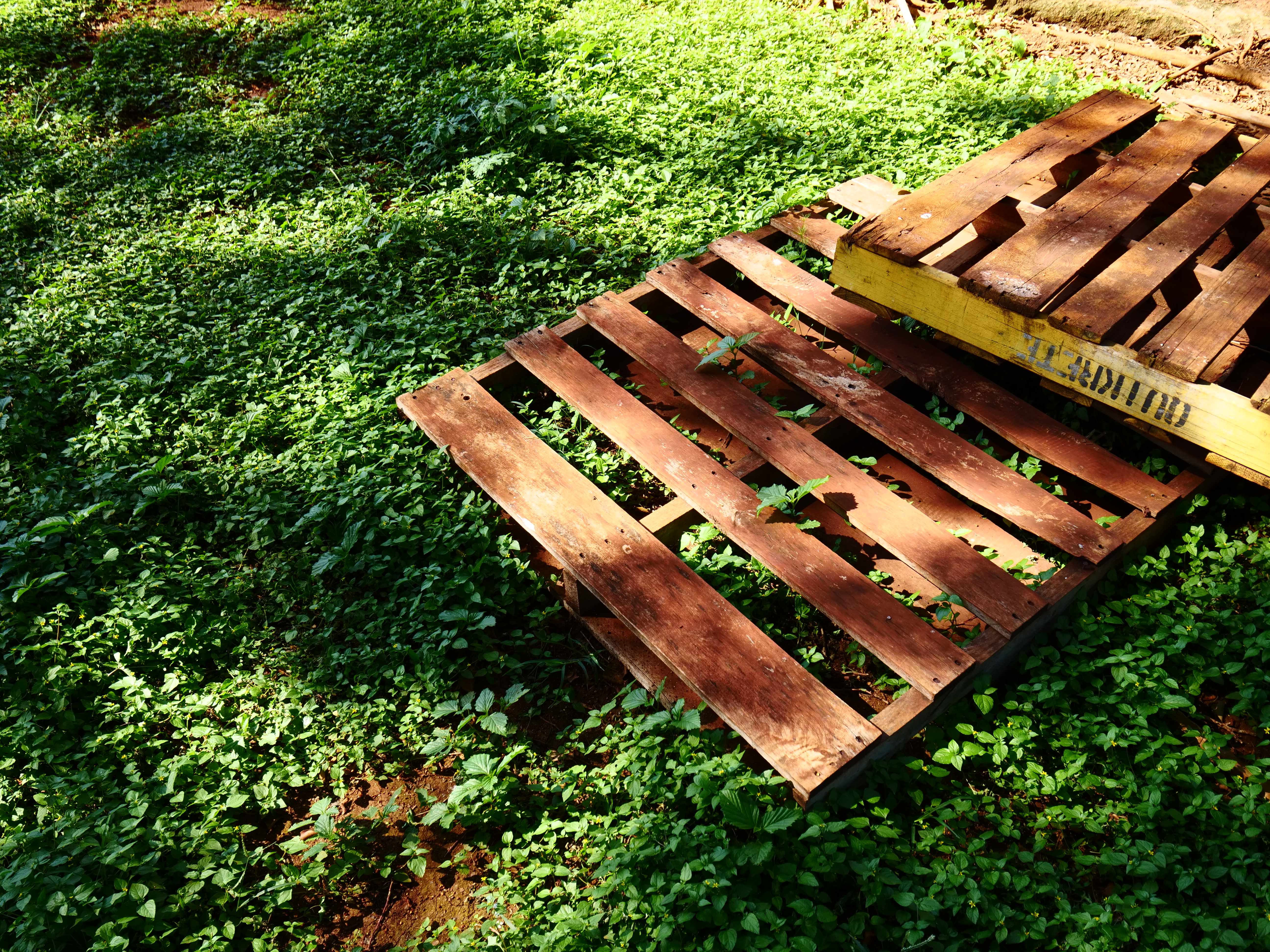 LUMIX GH5 / LEICA DG VARIO-ELMARIT 8-18mm/F2.8-4 ASPH. / 1/250秒 / F4 / 0EV / ISO200 / 絞り優先AE / 15mm