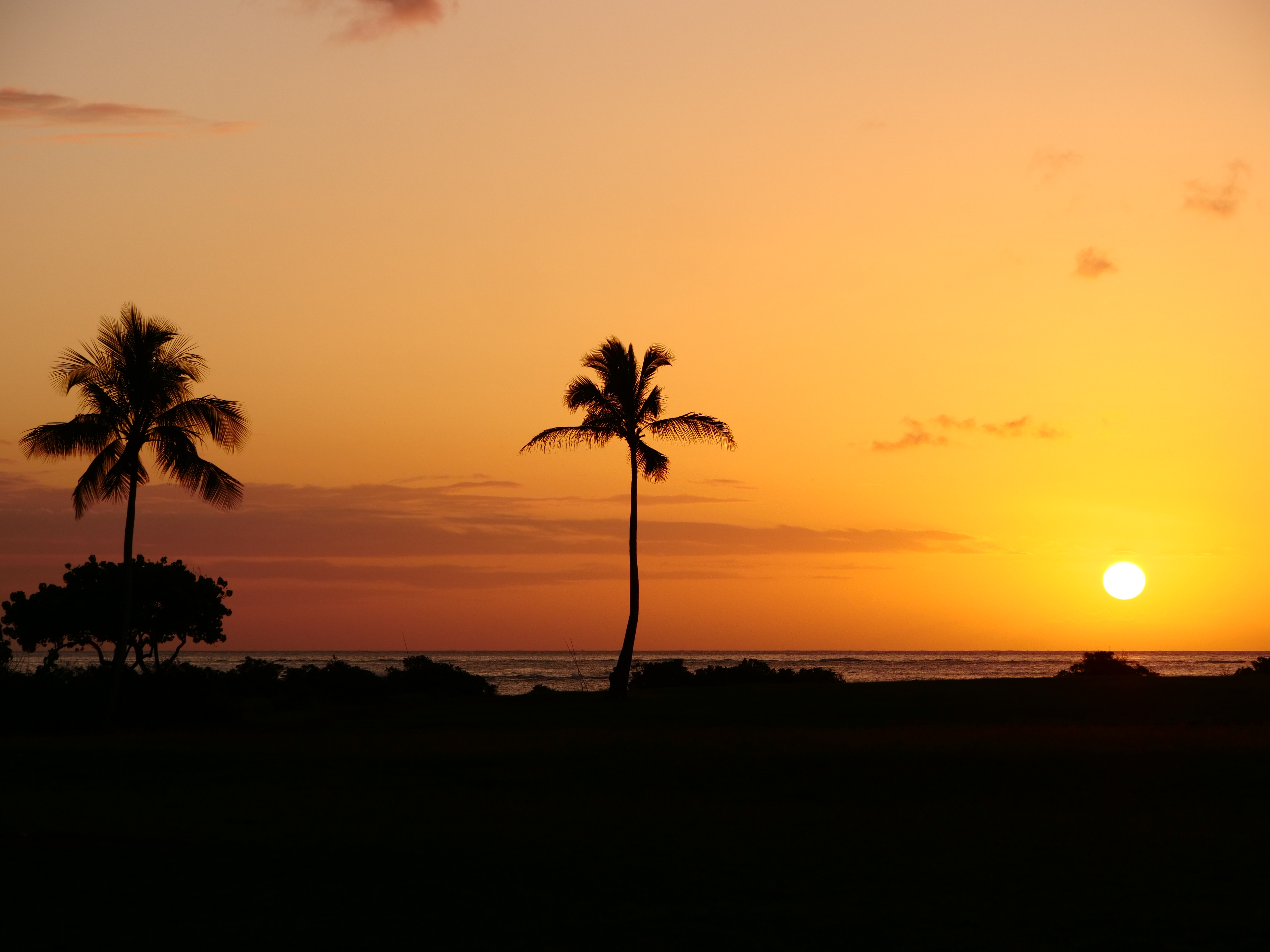 LUMIX GH5 / LEICA DG VARIO-ELMARIT 12-60mm/F2.8-4 ASPH. / POWER O.I.S. / 1/640秒 / F5.6 / 0EV / ISO200 / 絞り優先AE / 60mm