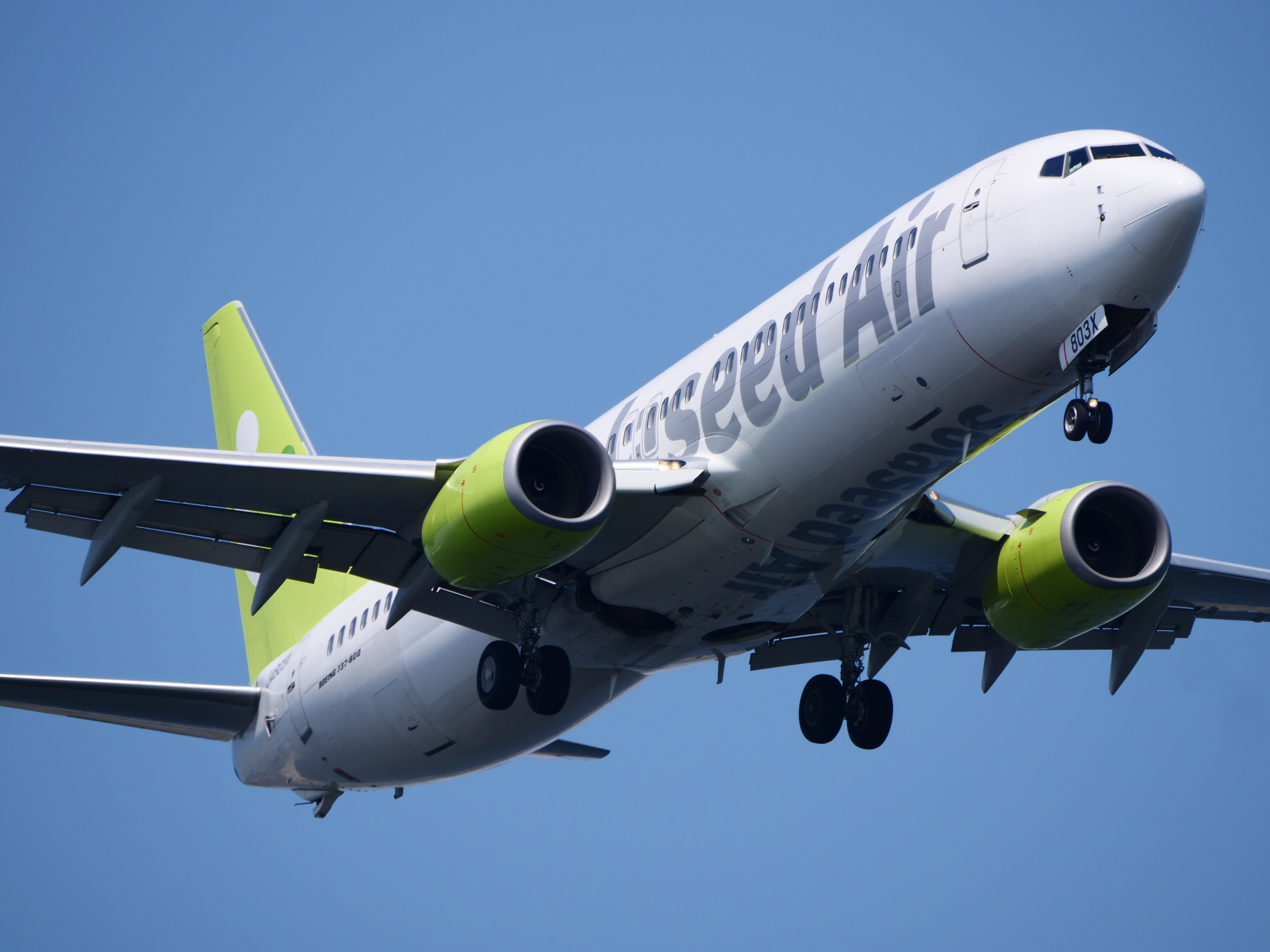 LUMIX GH5 / LEICA DG VARIO-ELMAR 100-400mm/F4-6.3 ASPH. / POWER O.I.S. / 1/1,000秒 / F7 / 0EV / ISO200 / シャッター優先AE / 400mm