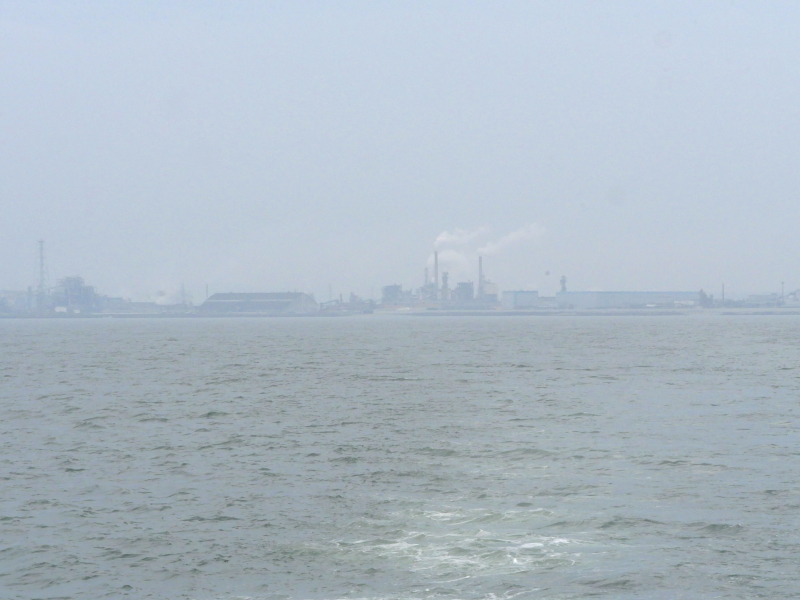 LUMIX GH4 / LUMIX G VARIO 14-140mm / F3.5-5.6 ASPH. / POWER O.I.S. / 1/1,600秒 / F11 / -0.3EV / ISO800 / 絞り優先AE / 65mm