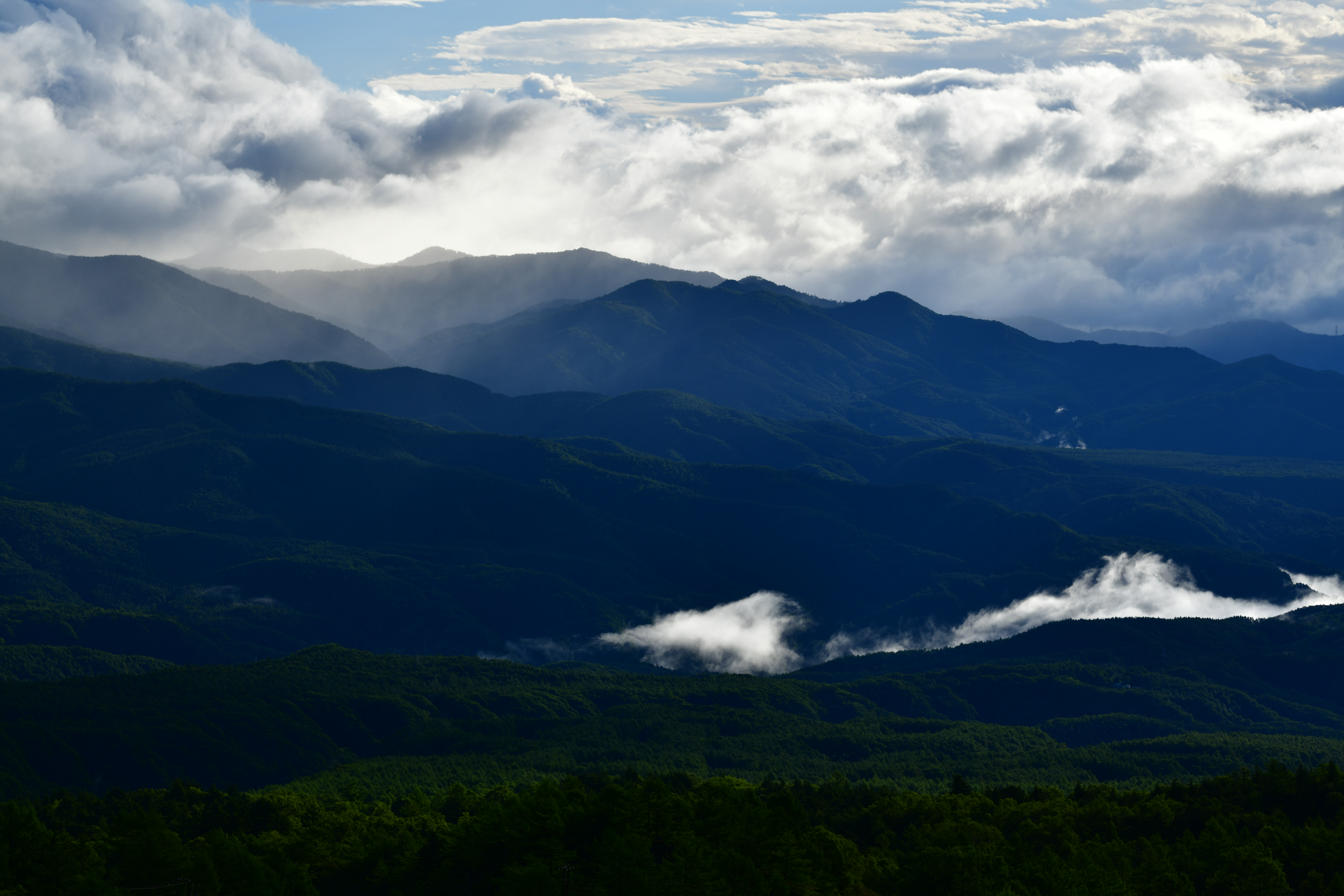 アクディプD-ライティング：オート。D850 / AF-S NIKKOR 70-200mm f/2.8E FL ED VR / 1/400秒 / F5.6 / -0.7EV / ISO 100 / 絞り優先AE / 112mm