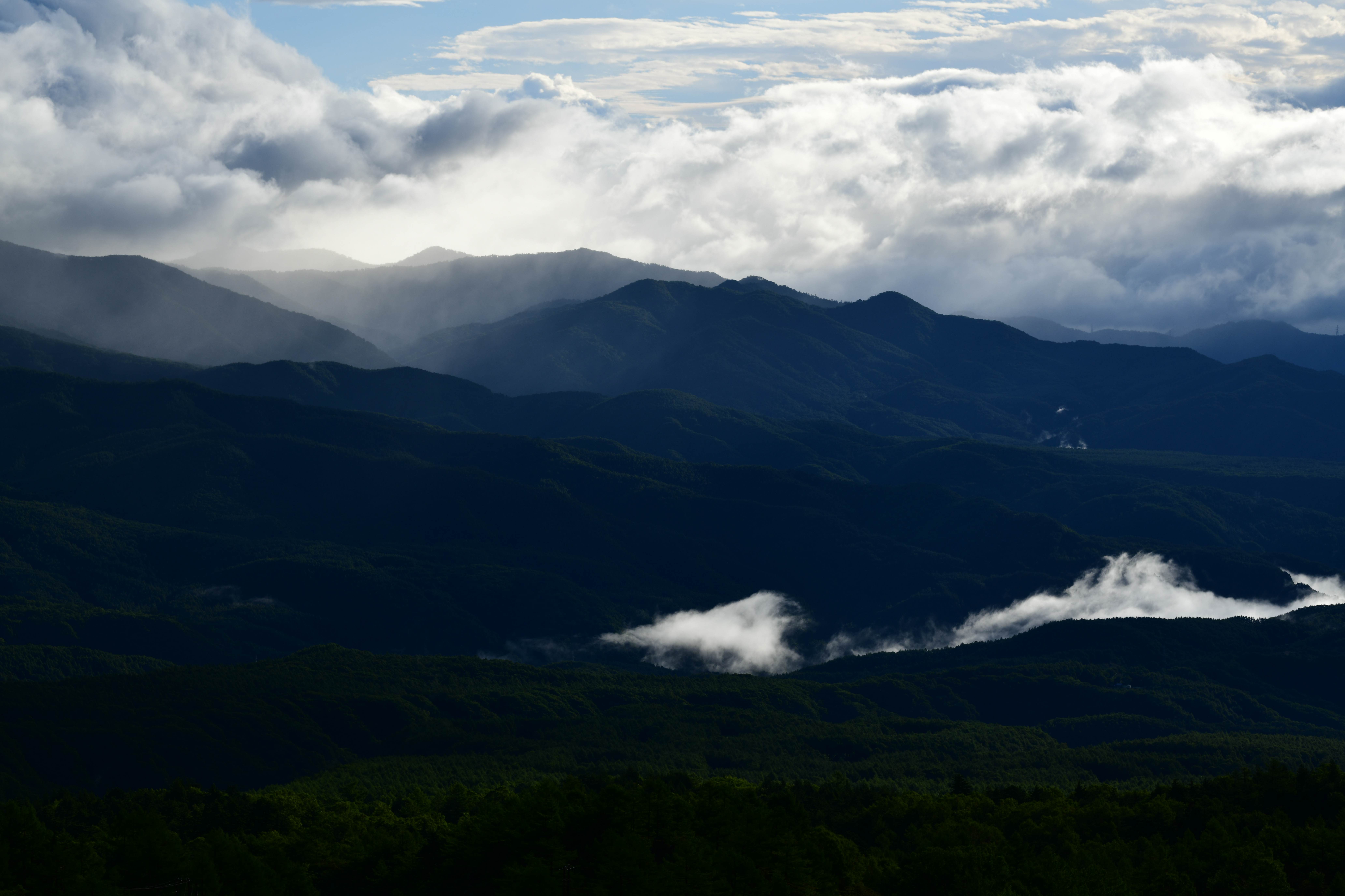アクディプD-ライティング：しない。D850 / AF-S NIKKOR 70-200mm f/2.8E FL ED VR / 1/400秒 / F5.6 / -0.7EV / ISO 100 / 絞り優先AE / 112mm