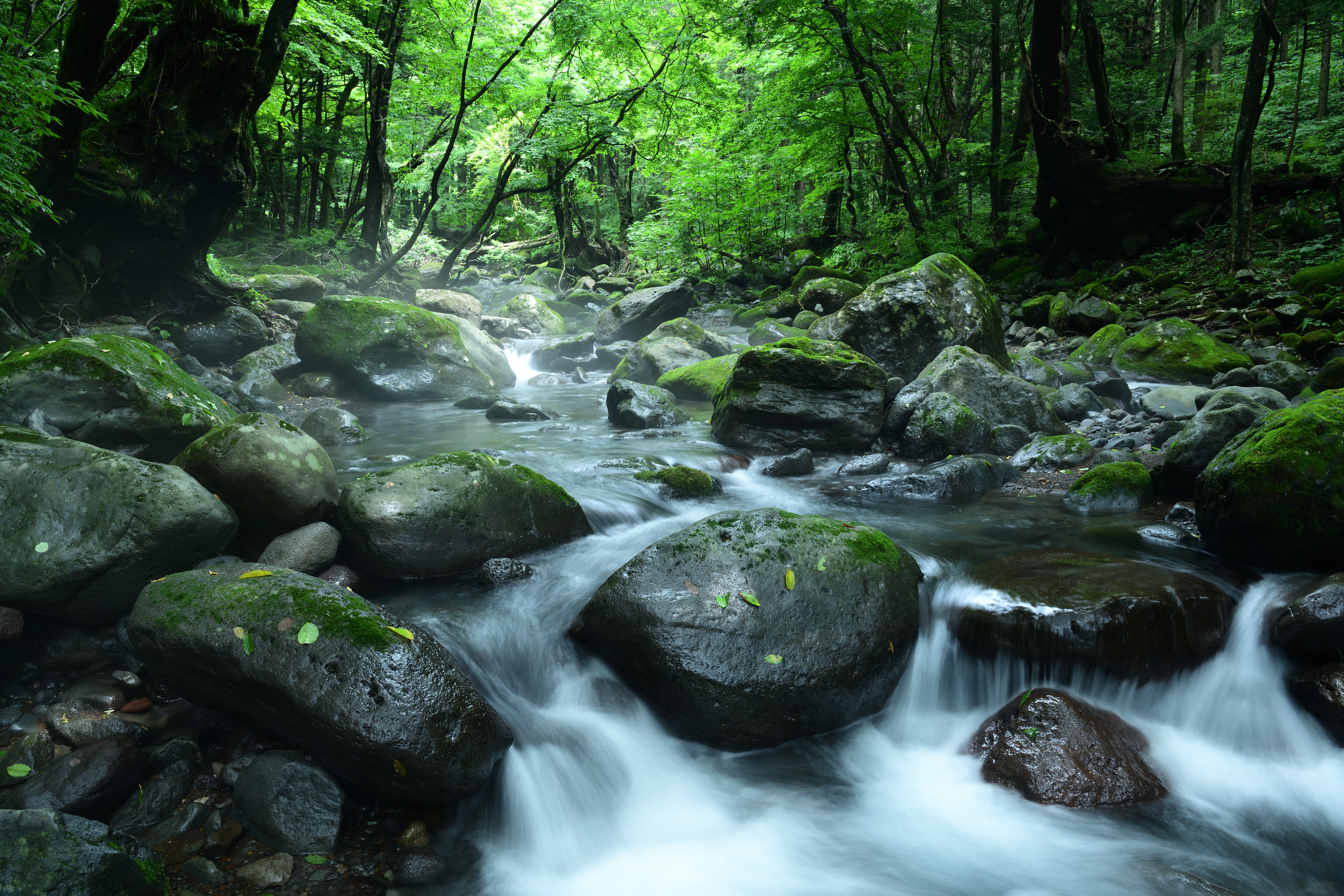 D850 / AF-S NIKKOR 24-70mm f/2.8E ED VR / 1/1.6秒 / F16 / -0.7EV / ISO 64 / 絞り優先AE / 24mm