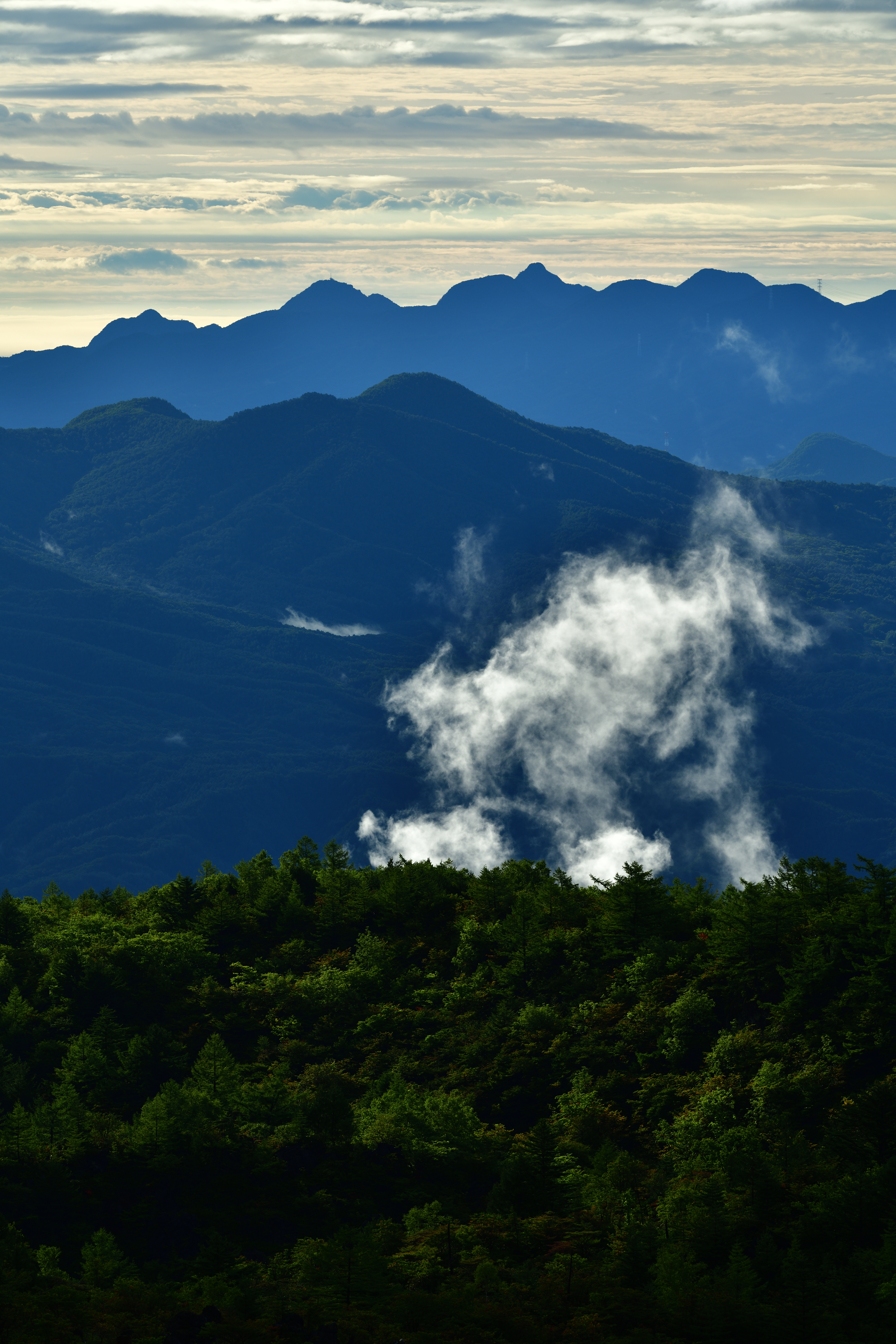 D850 / AF-S NIKKOR 70-200mm f/2.8E FL ED VR / 1/320秒 / F5.6 / -1.3EV / ISO 100 / 絞り優先AE / 200mm