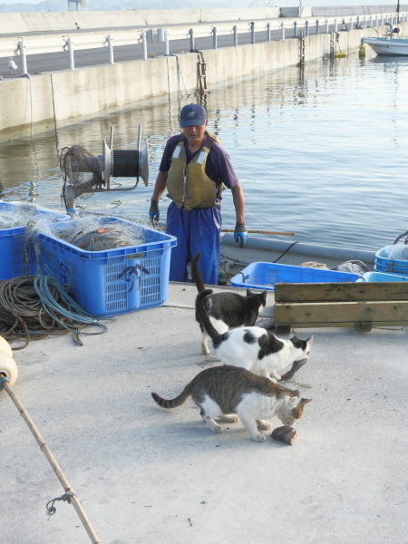 LUMIX GH4 / LUMIX G VARIO 14-140mm / F3.5-5.6 ASPH. / POWER O.I.S. / 1/500秒 / F6.3 / +0.7EV / ISO800 / 絞り優先AE / 26mm