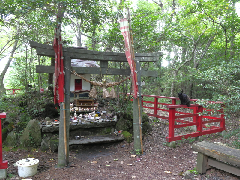 LUMIX GH4 / LUMIX G VARIO 14-140mm / F3.5-5.6 ASPH. / POWER O.I.S. / 1/10秒 / F8 / -0.3EV / ISO400 / 絞り優先AE / 15mm