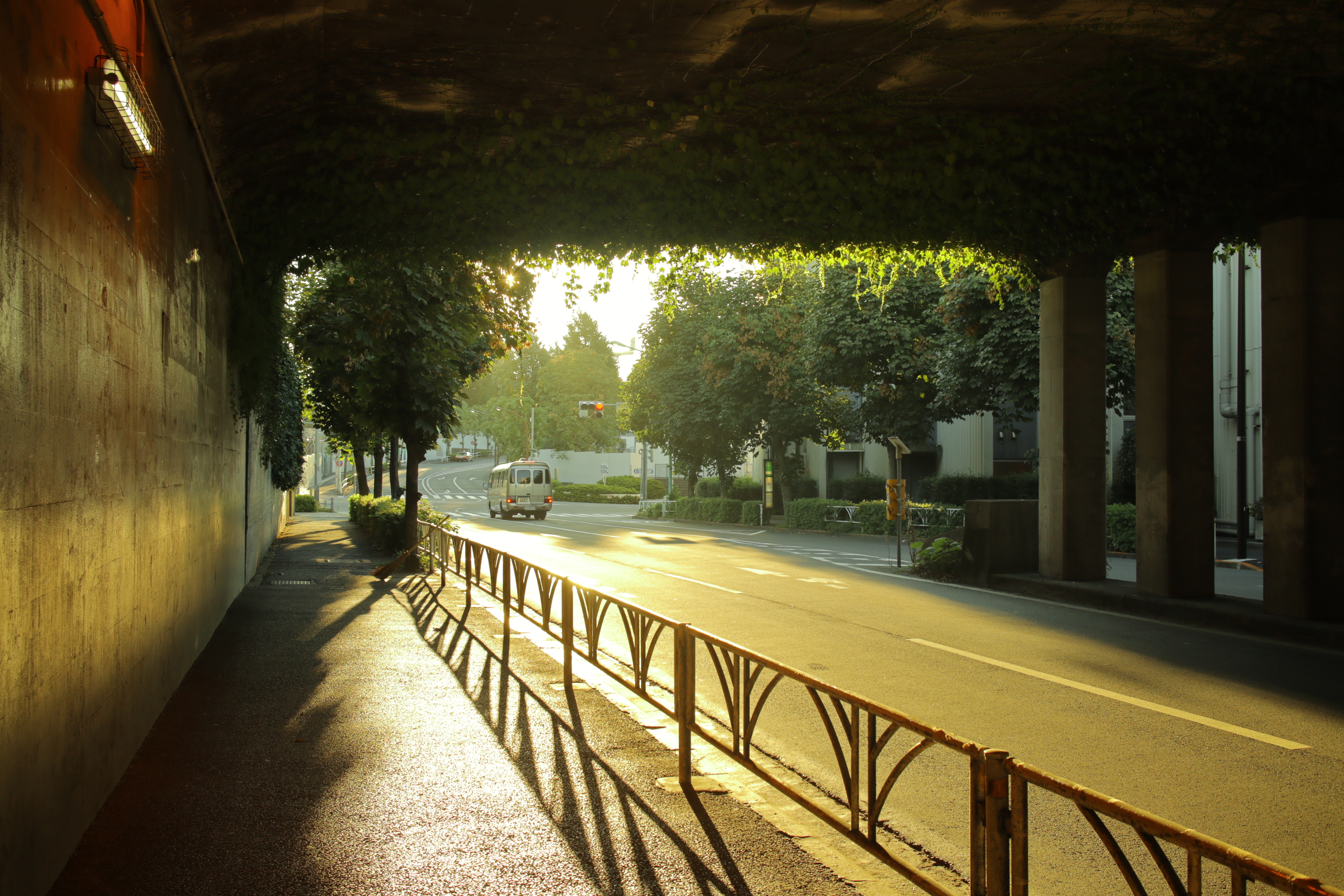 オートライティングオプティマイザ：強め。EOS M100 / EF-M22mm F2 STM / 1/100秒 / F5.6 / +0.7EV / ISO 125 / 絞り優先AE / WB:日陰（A6、G7） / 22mm