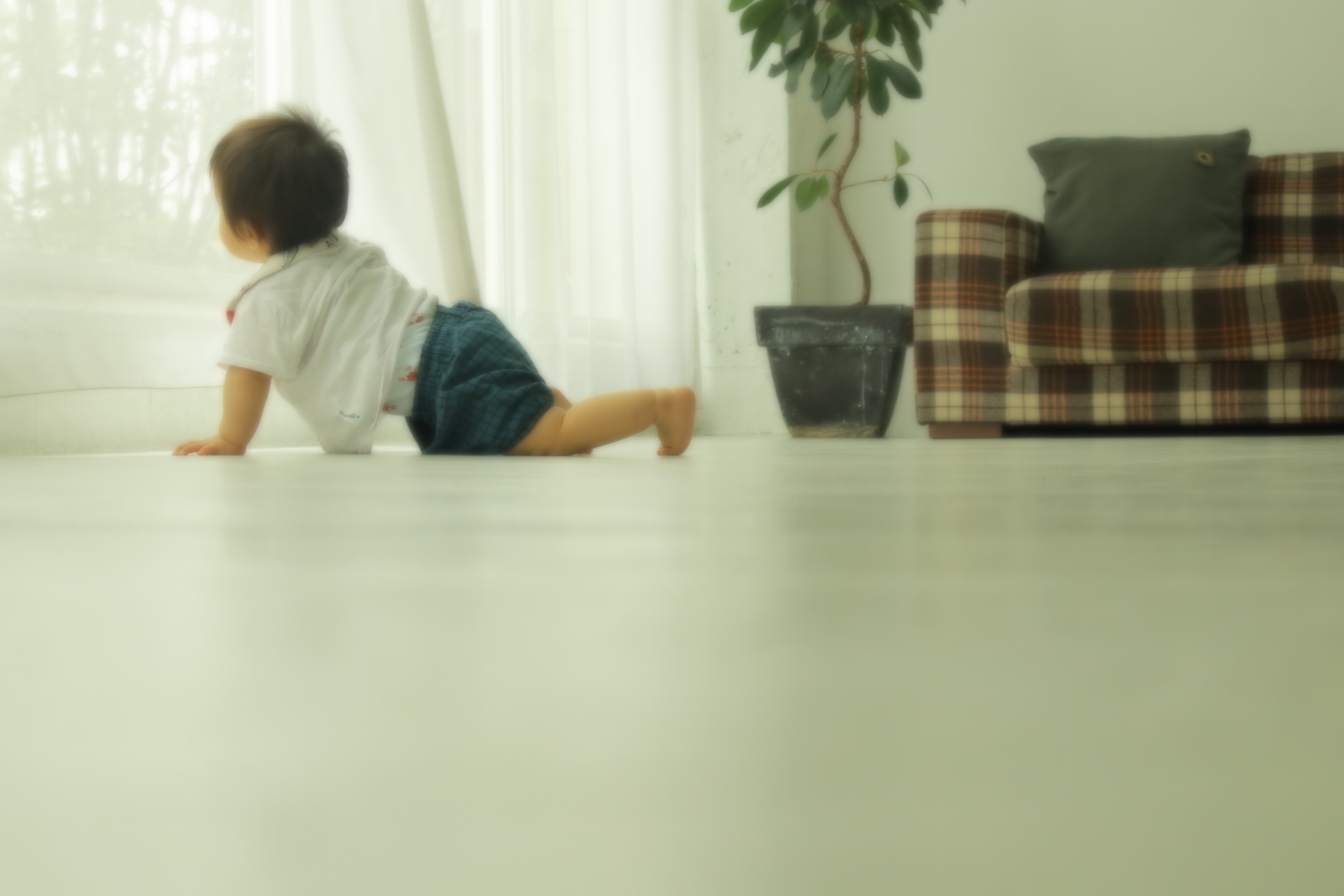 EOS M100 / EF-M15-45mm F3.5-6.3 IS STM / 1/50秒 / F6.3 / +1.3EV / ISO 1600 / 絞り優先AE / WB:オート（A6、G7） / 41mm / クリエイティブフィルター（ソフトフォーカス）