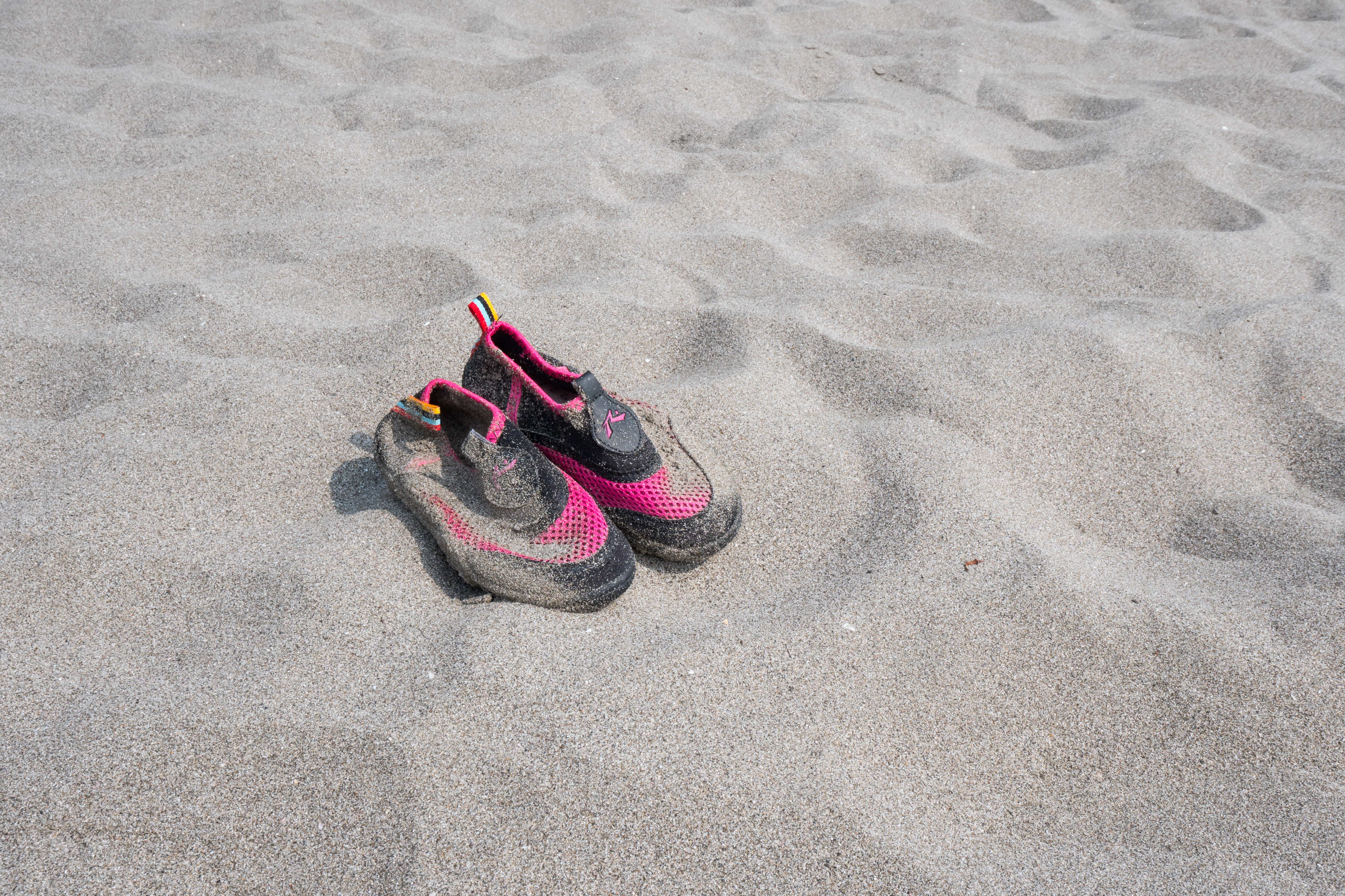 LUMIX GH5 / LEICA DG VARIO-ELMARIT 8-18mm / F2.8-4.0 ASPH. / 1/160秒 / F11 / +0.7EV / ISO200 / 絞り優先AE / 14mm